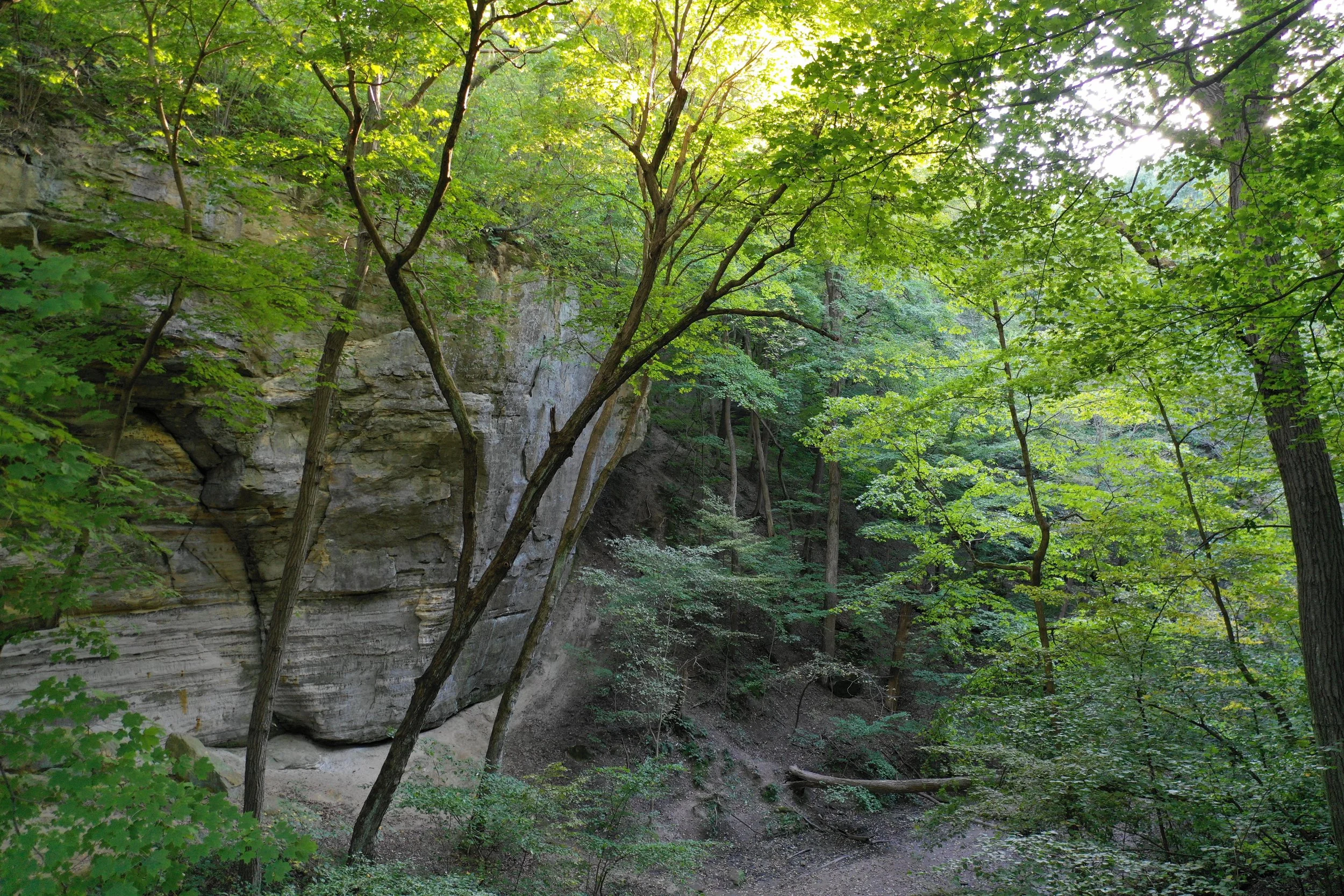 M2P ottawa canyon raw.jpeg