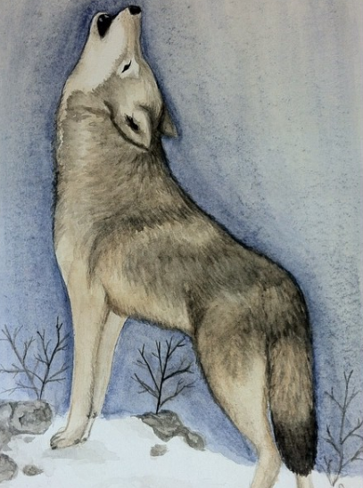 Screen Shot 2018-01-17 at 11.47.57 AM.png