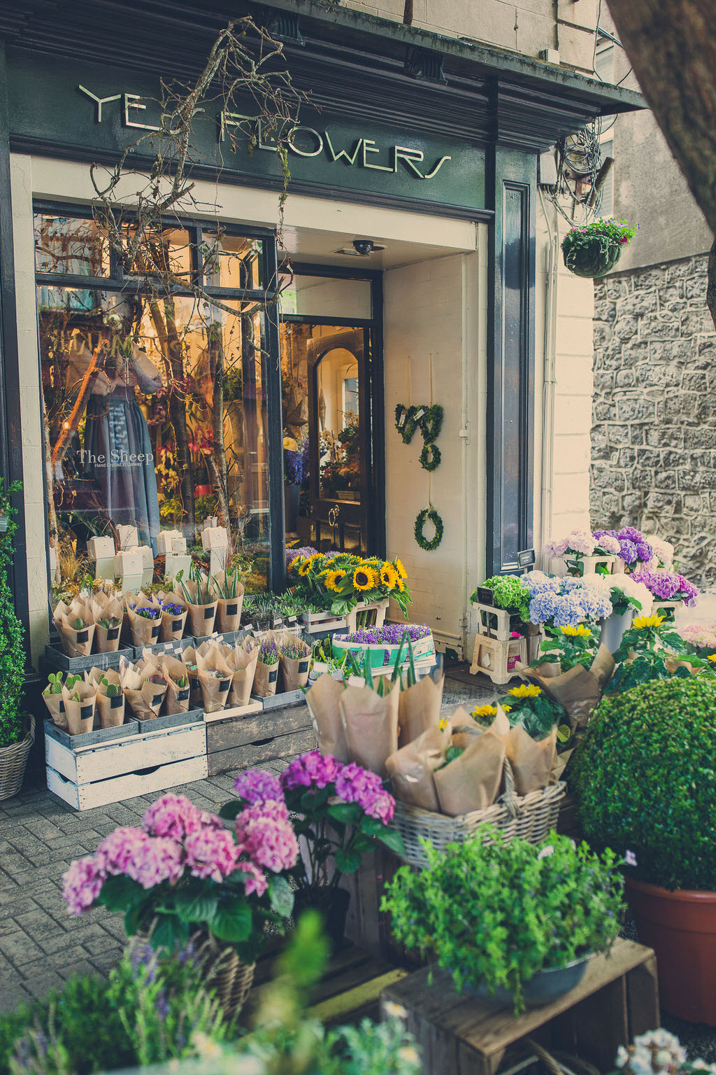 yes flowers. florists in galway. flower shop galway