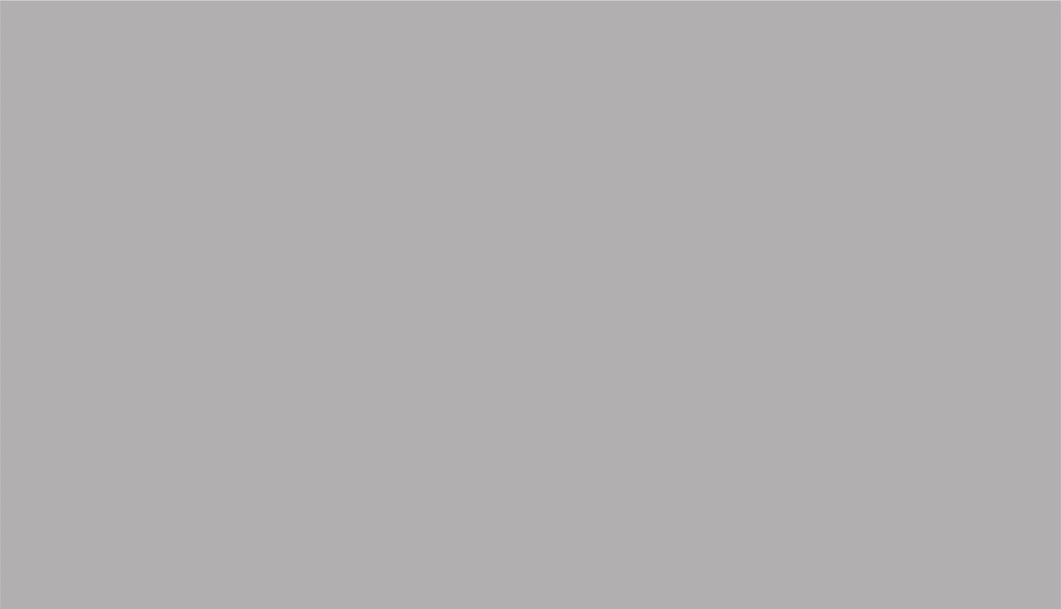 hcarbckg gray2.jpg