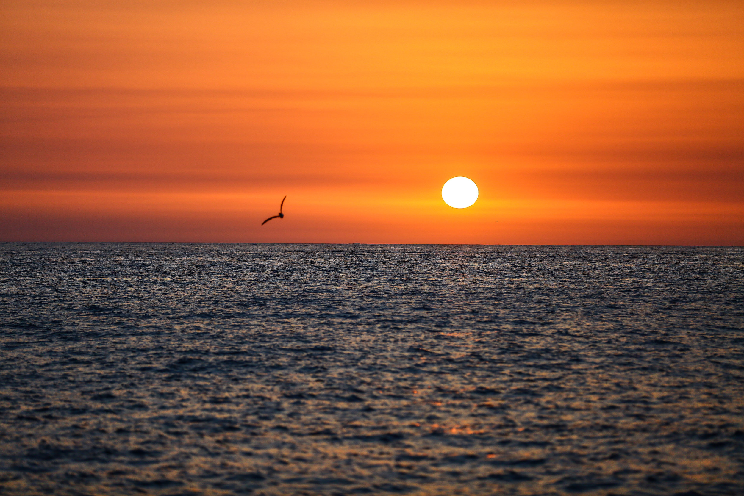 sunsetischia.jpg