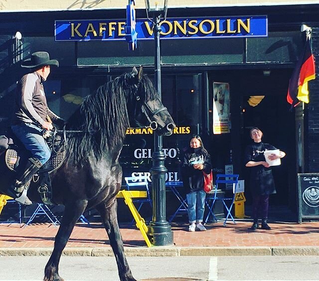 We live in crazy times, but nothing beats the benign chaos that takes place at Vonsolln.  Stop in for take-out&mdash;we have 15 minute parking out front for horses or automobiles. 🐴☕️🐴
.
.
.
#kaffeevonsolln #cafe #caf&eacute; #coffeeshop #coffeehou