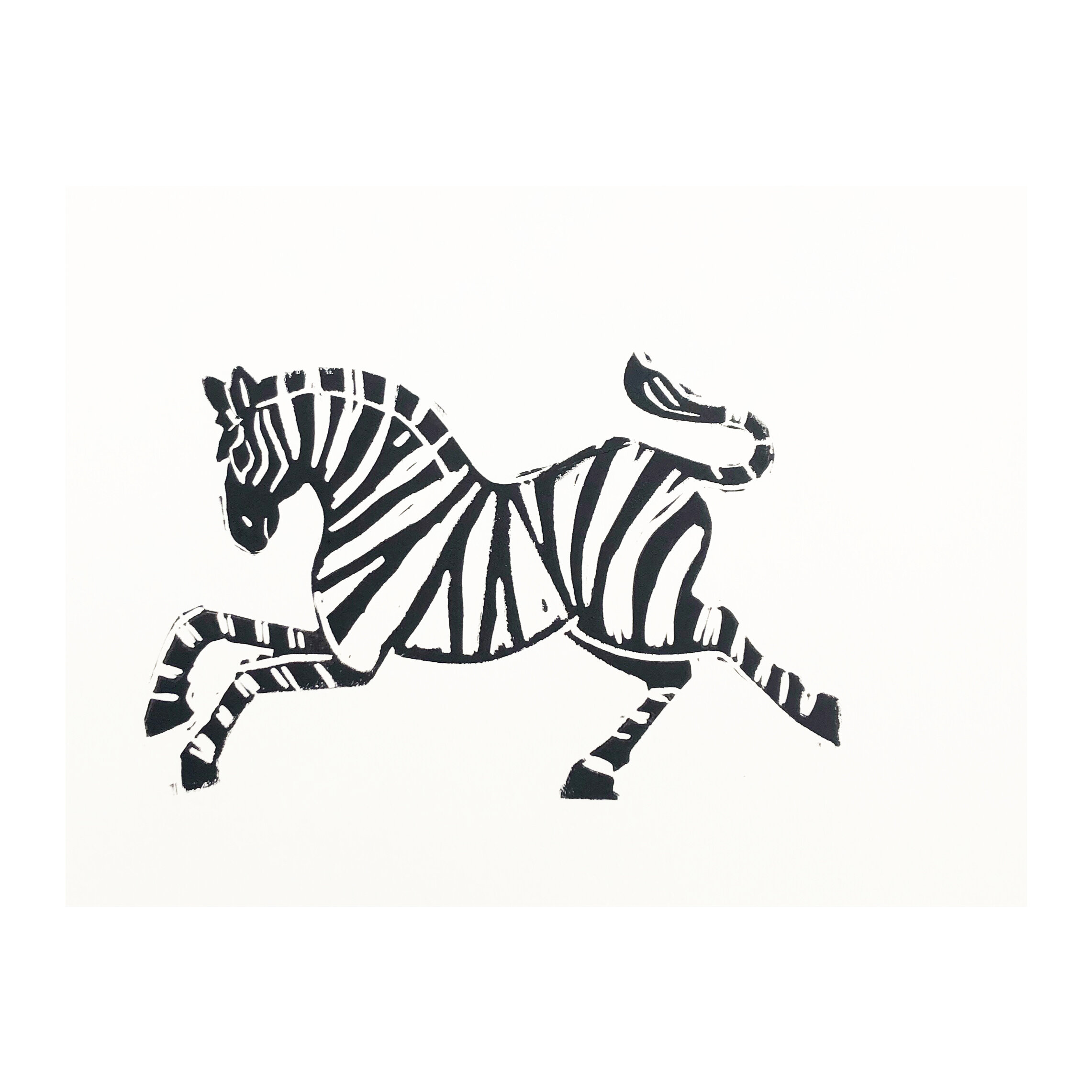Zebra — Stacey Elaine