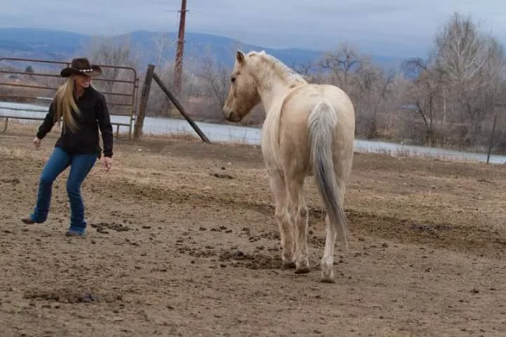 horseplay with ollie.jpeg