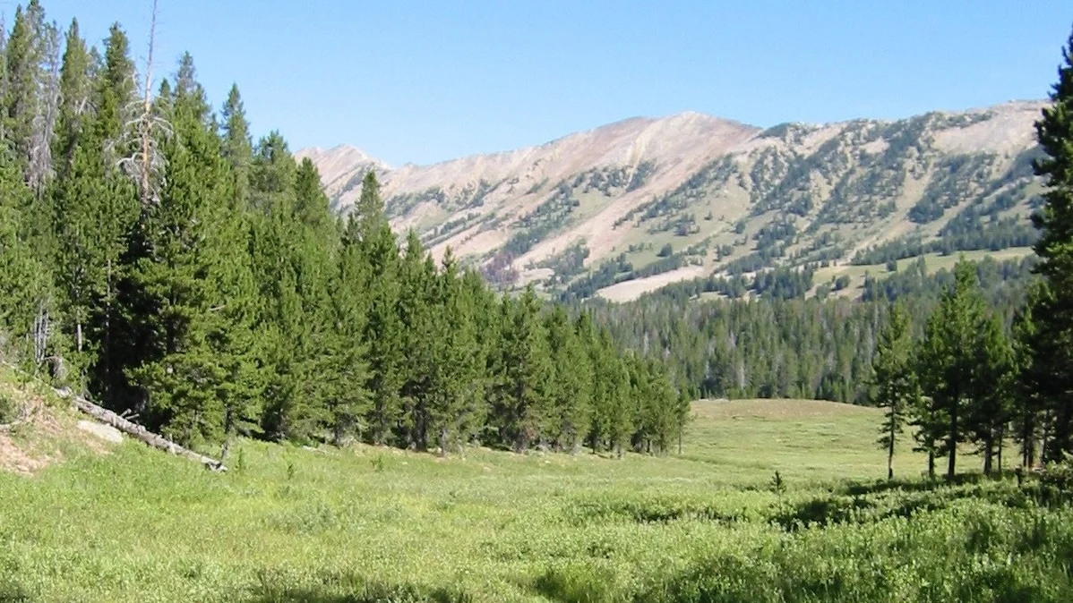 Gallatin_National_Forest.jpg