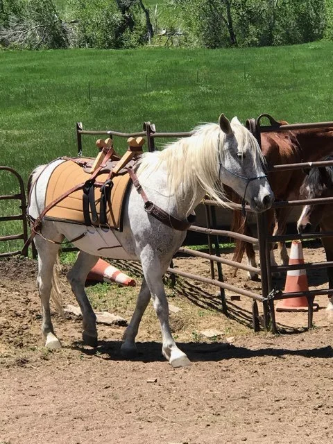 Still sitting tight at our start point ...