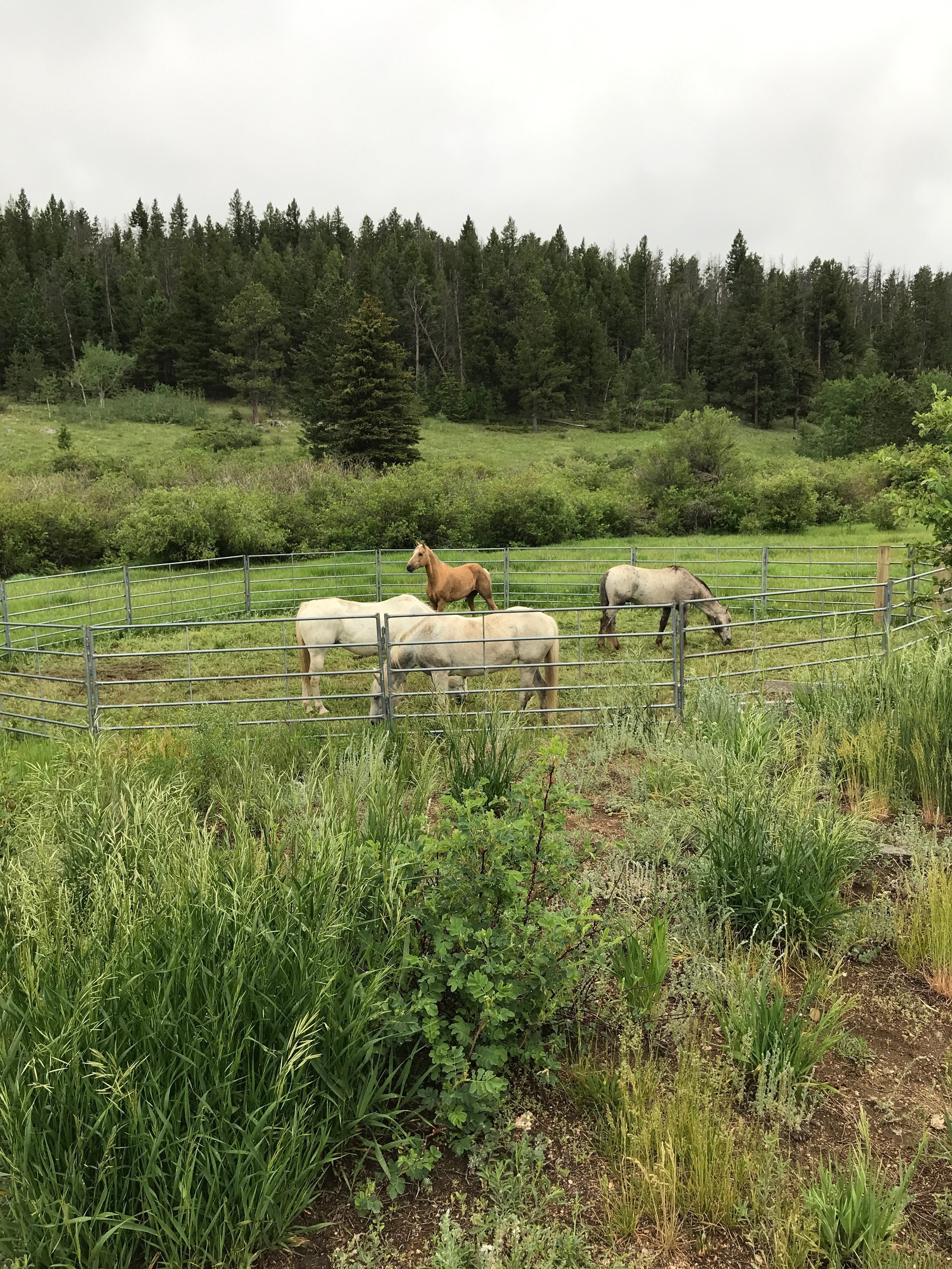 One Step Forward, Three Steps Back