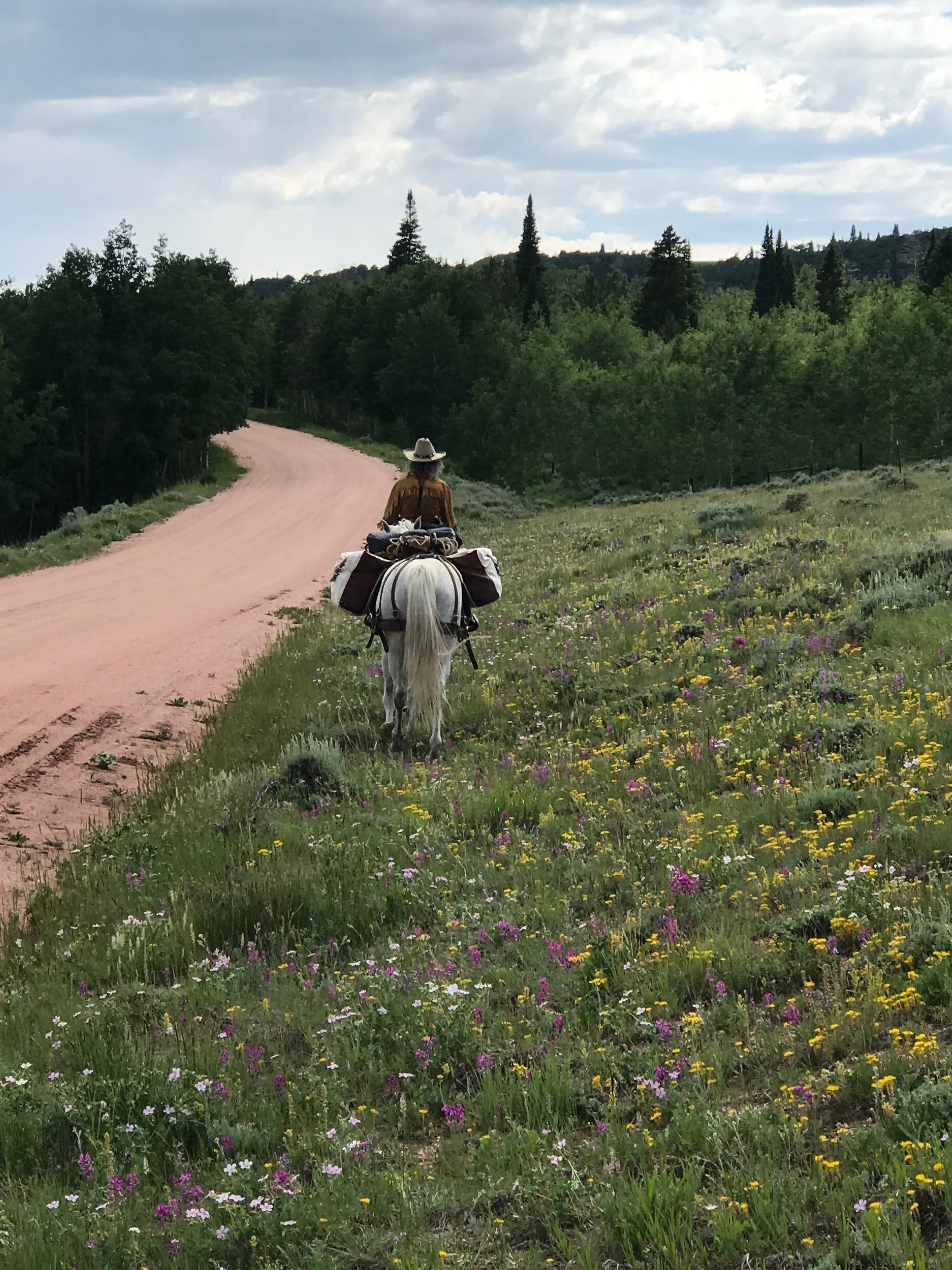 Back on the Trail... Really!