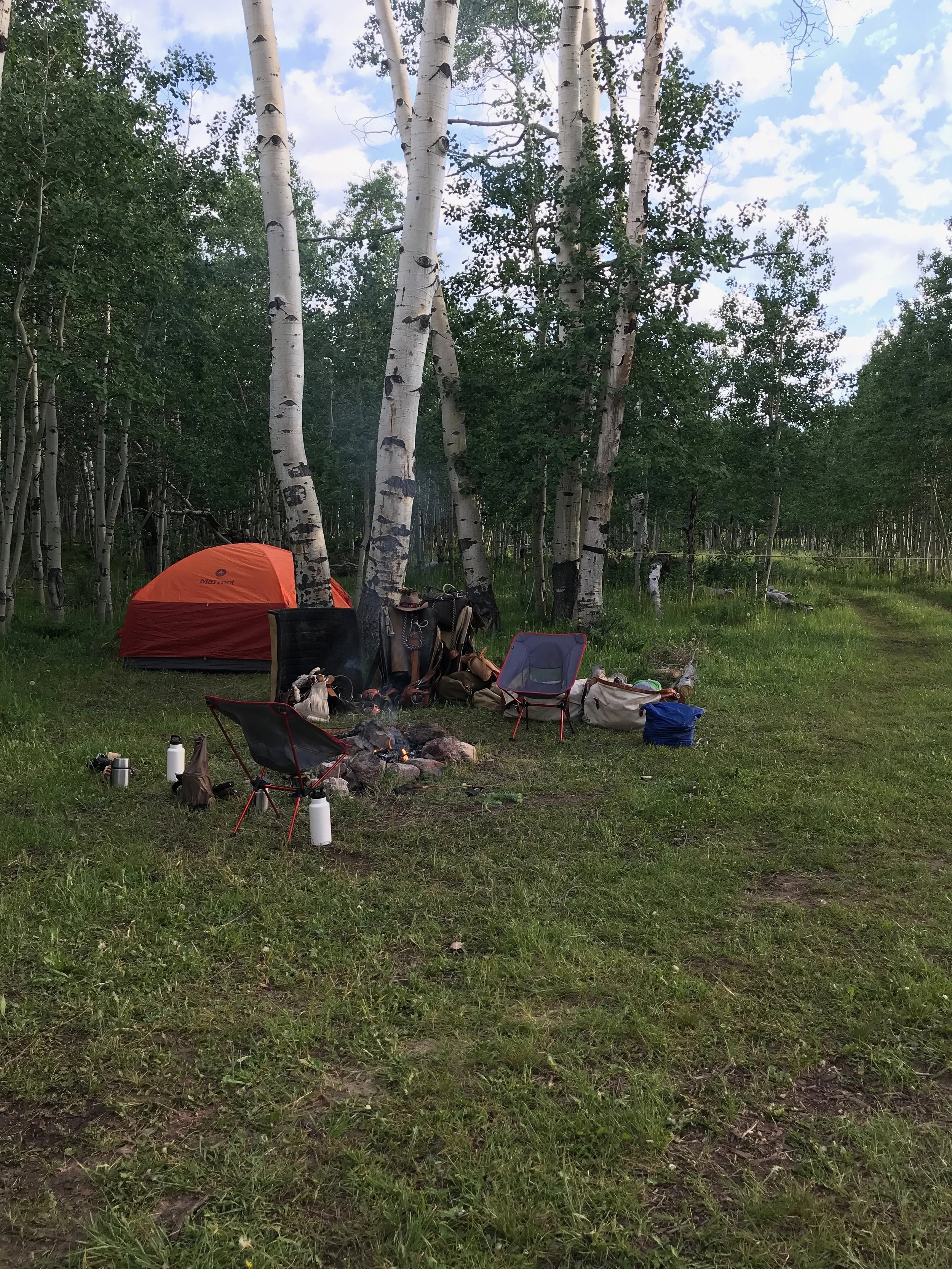 Camp night2postB.jpeg