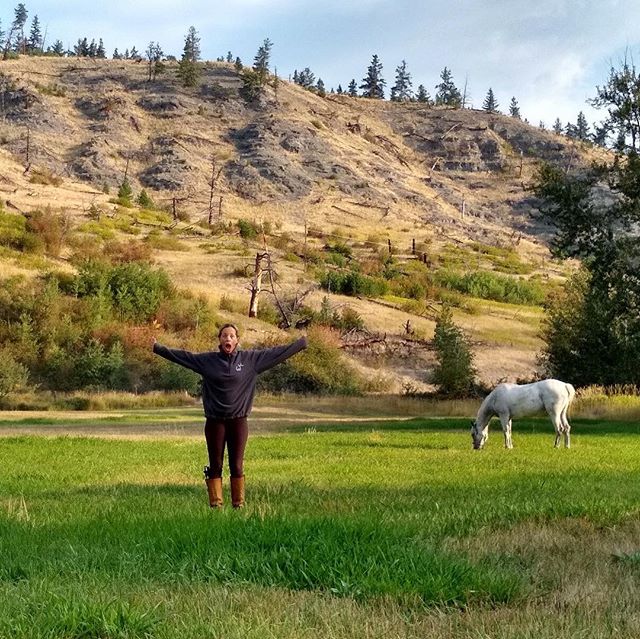 Second night on the Bozeman Trail, the last picture is black berry our camp site had them all around. Found lots of bear scat fun night. #newdirtoldboots #horseriding #trailride #montanahorseride