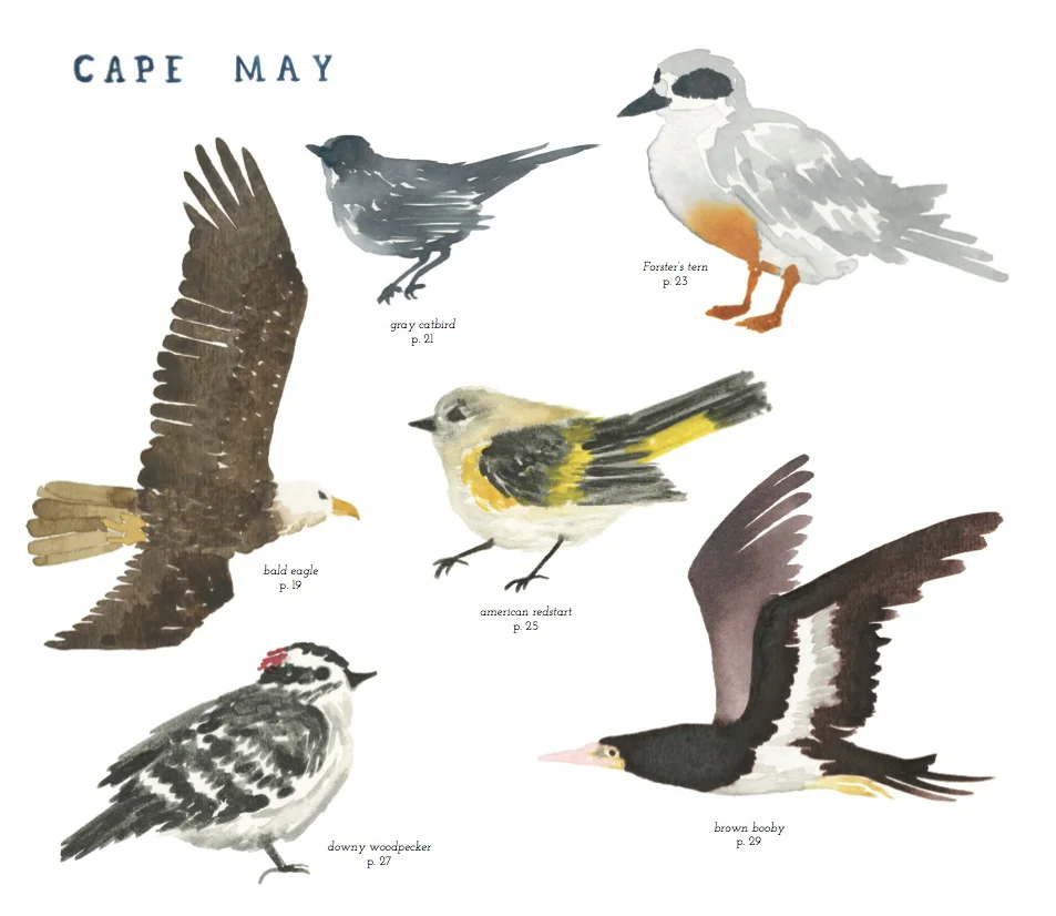 birdsofcapemay.jpg