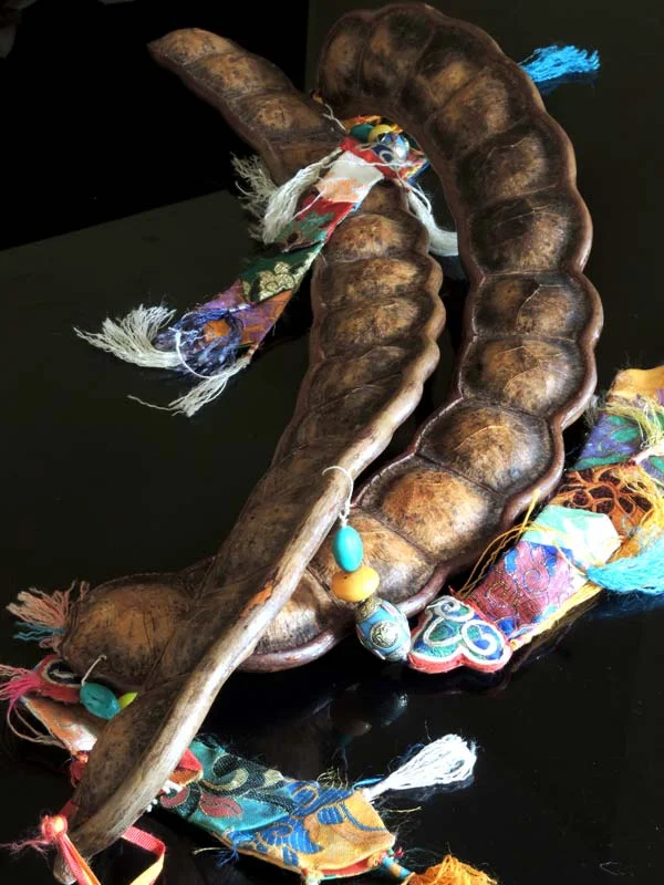 Yangkali (pod shaker)