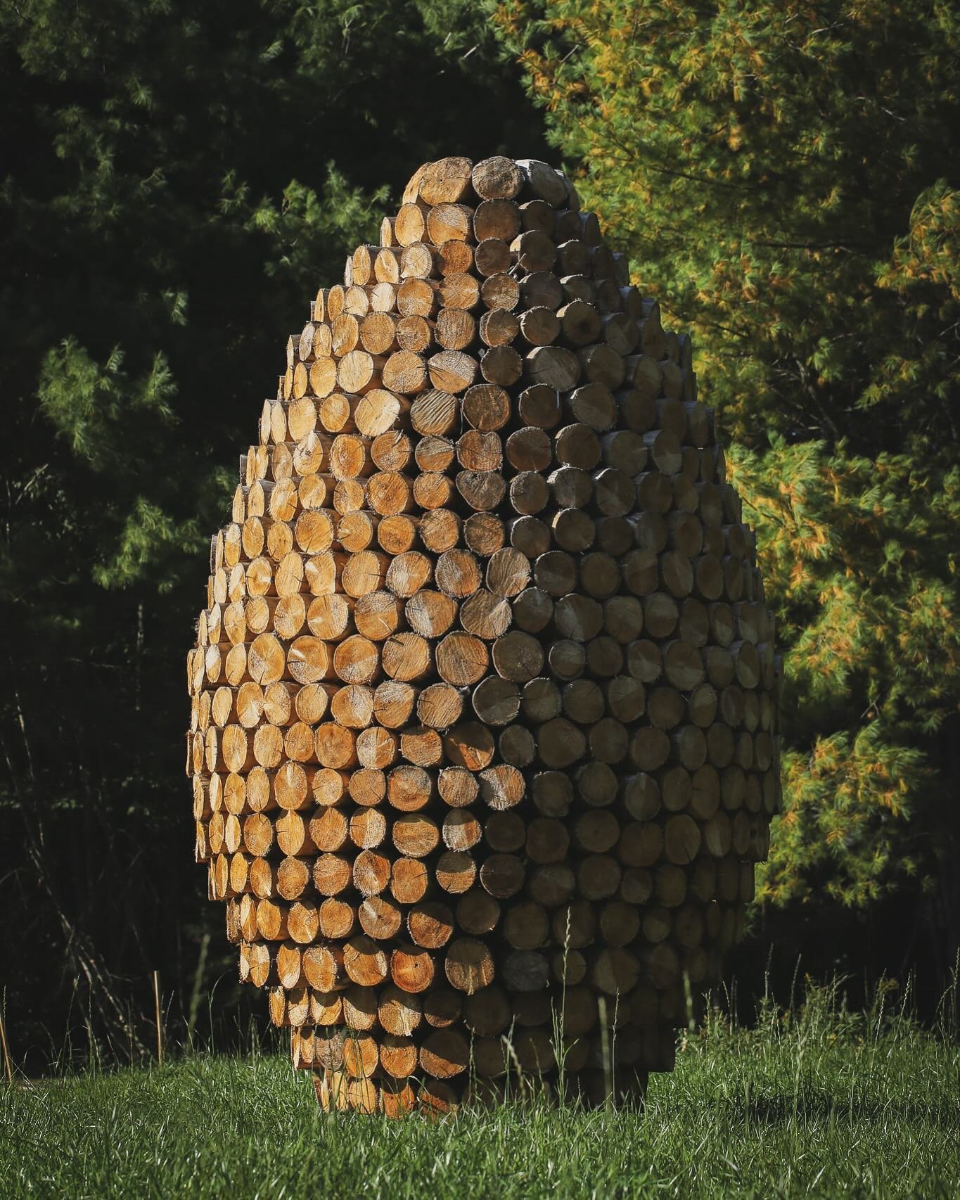 Two months of this piece in the wild and I finally got some shots. I was waiting for the grass to grow in so it really feels like part of the landscape. I&rsquo;ve decided to call this piece &ldquo;Timber Egg&rdquo; because I feel like it honors the 