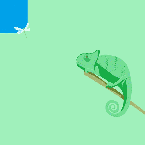 Cameleon.gif