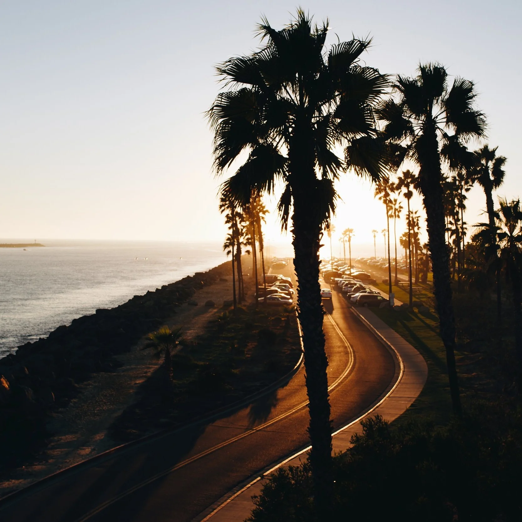 matthew-hamilton-144803-unsplash.jpg