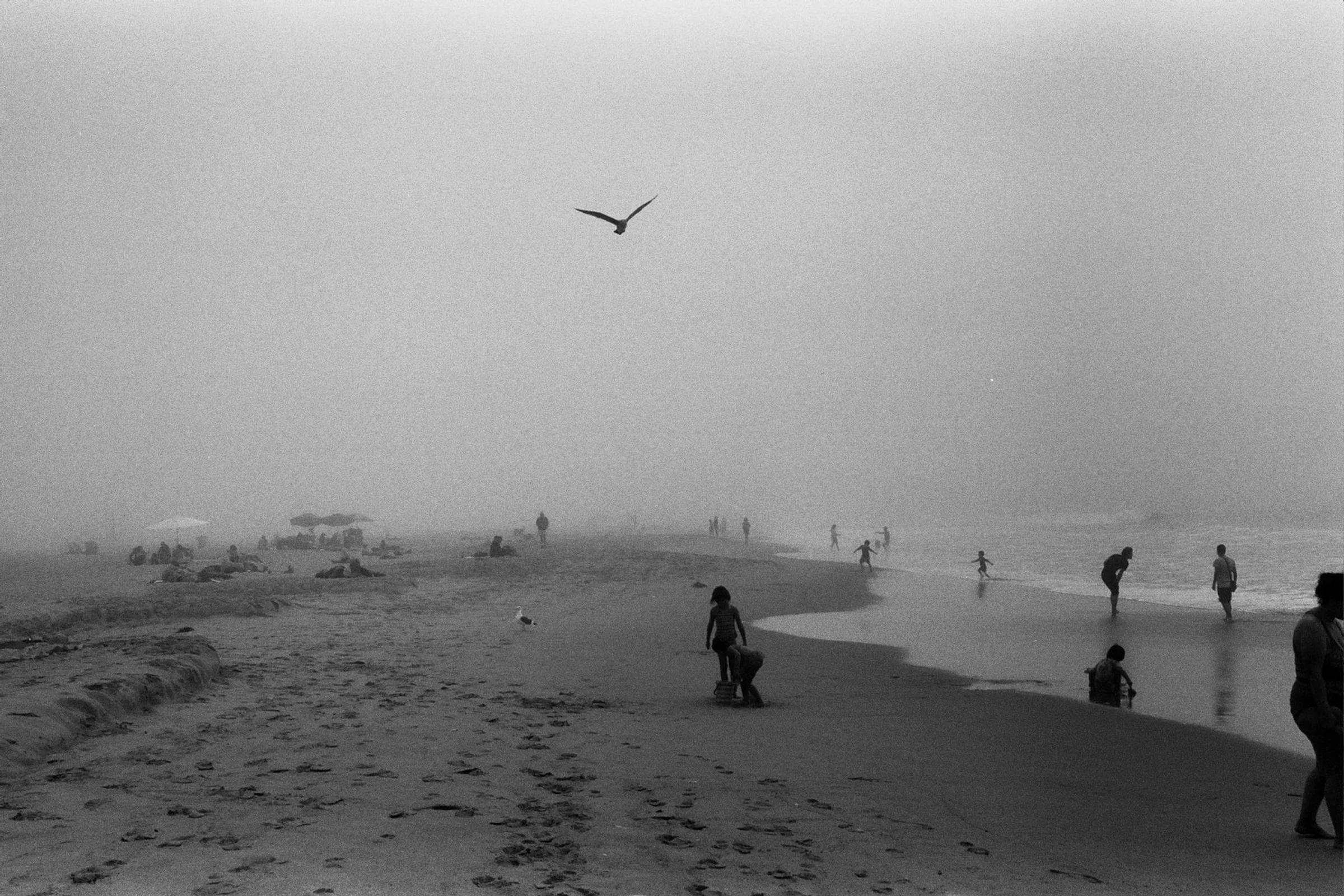 will rogers 35mm