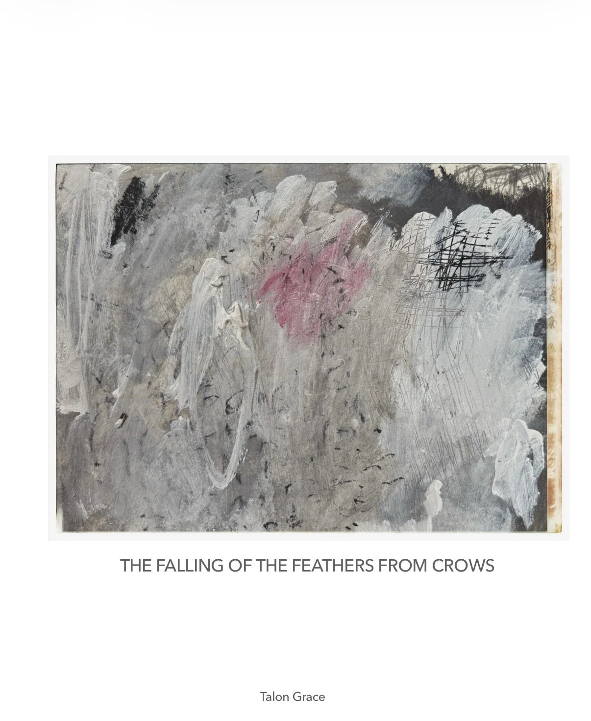 THE FALLING OF THE FEATHERS