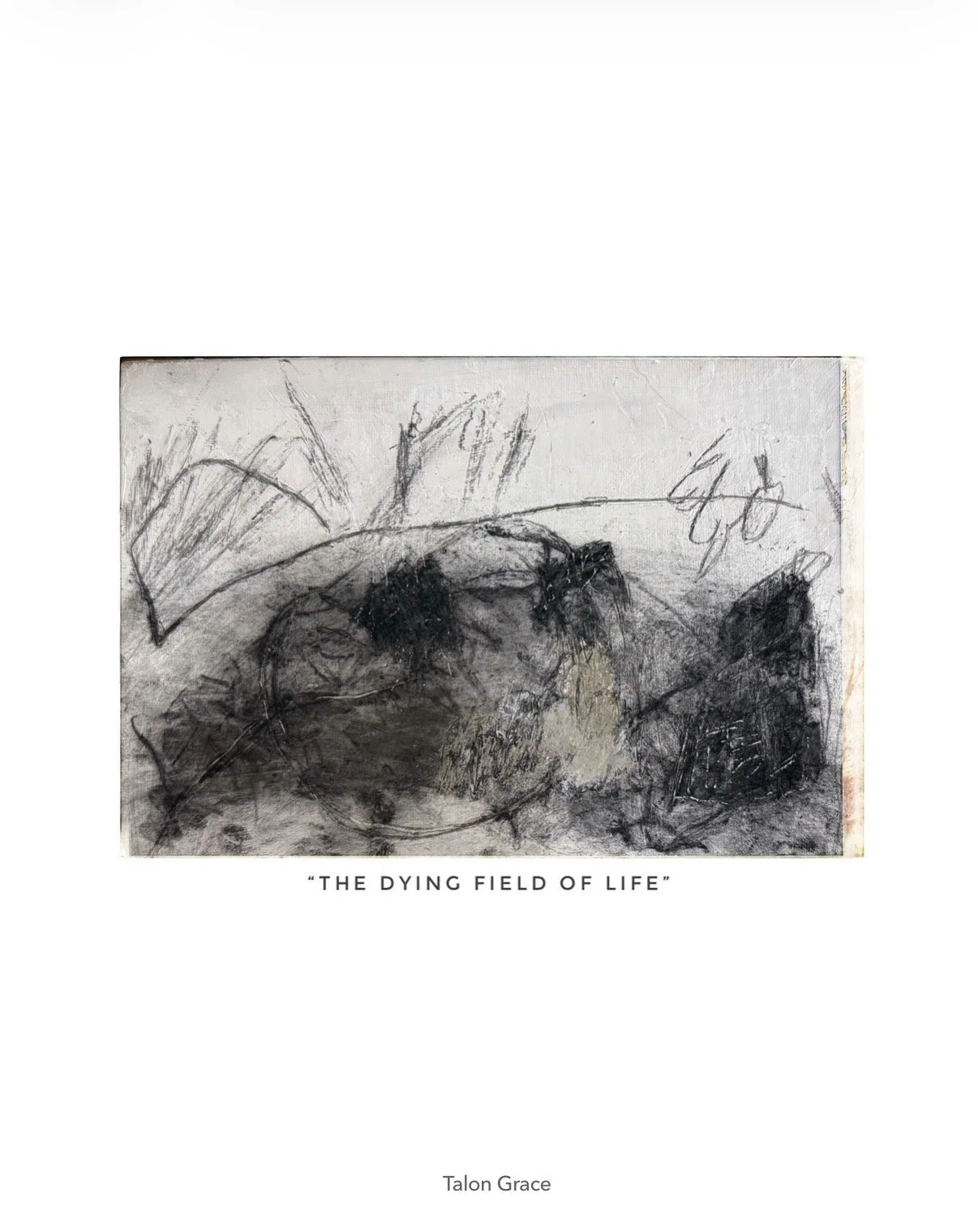 THE DYING FIELD OF LIFE