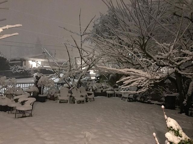 Very cold...still heavy snow