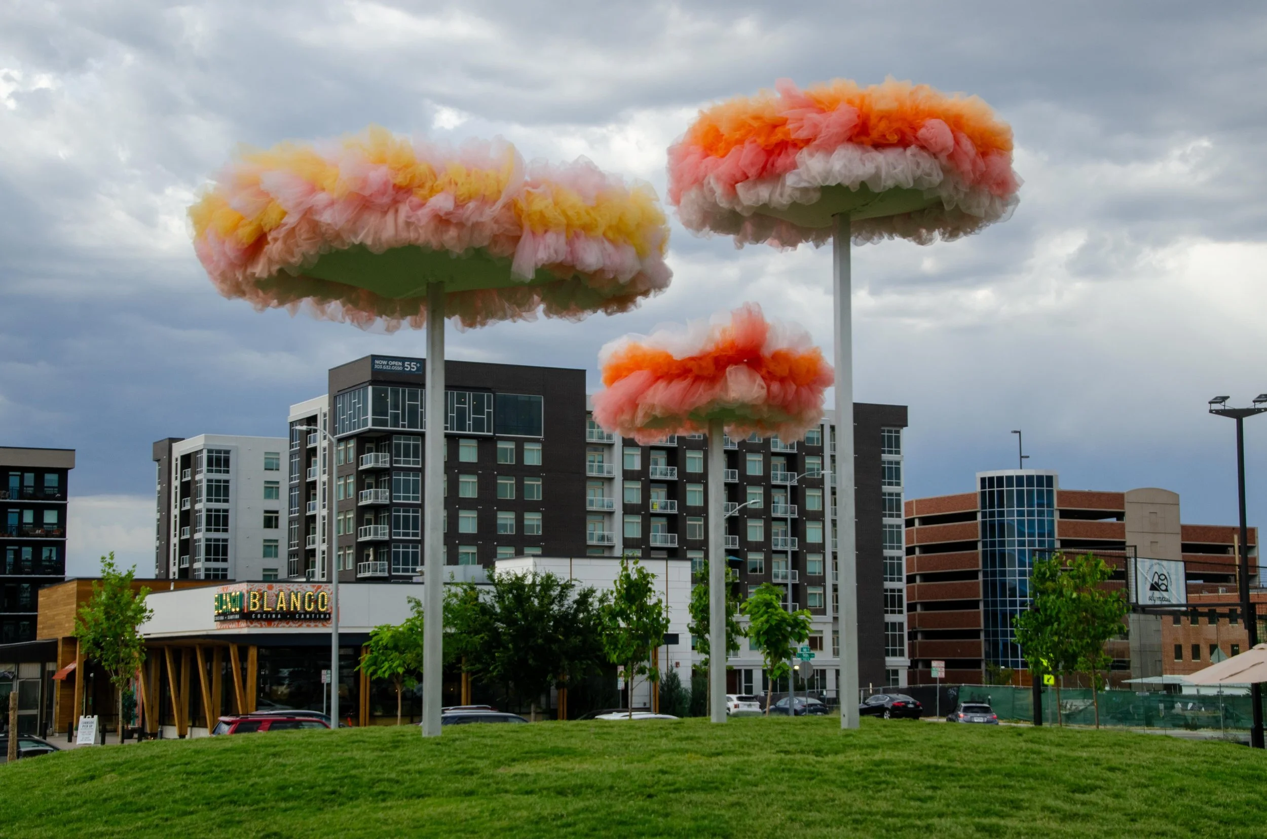 AMH_9+CO_Block 5_PAS_2025_16_web.jpeg