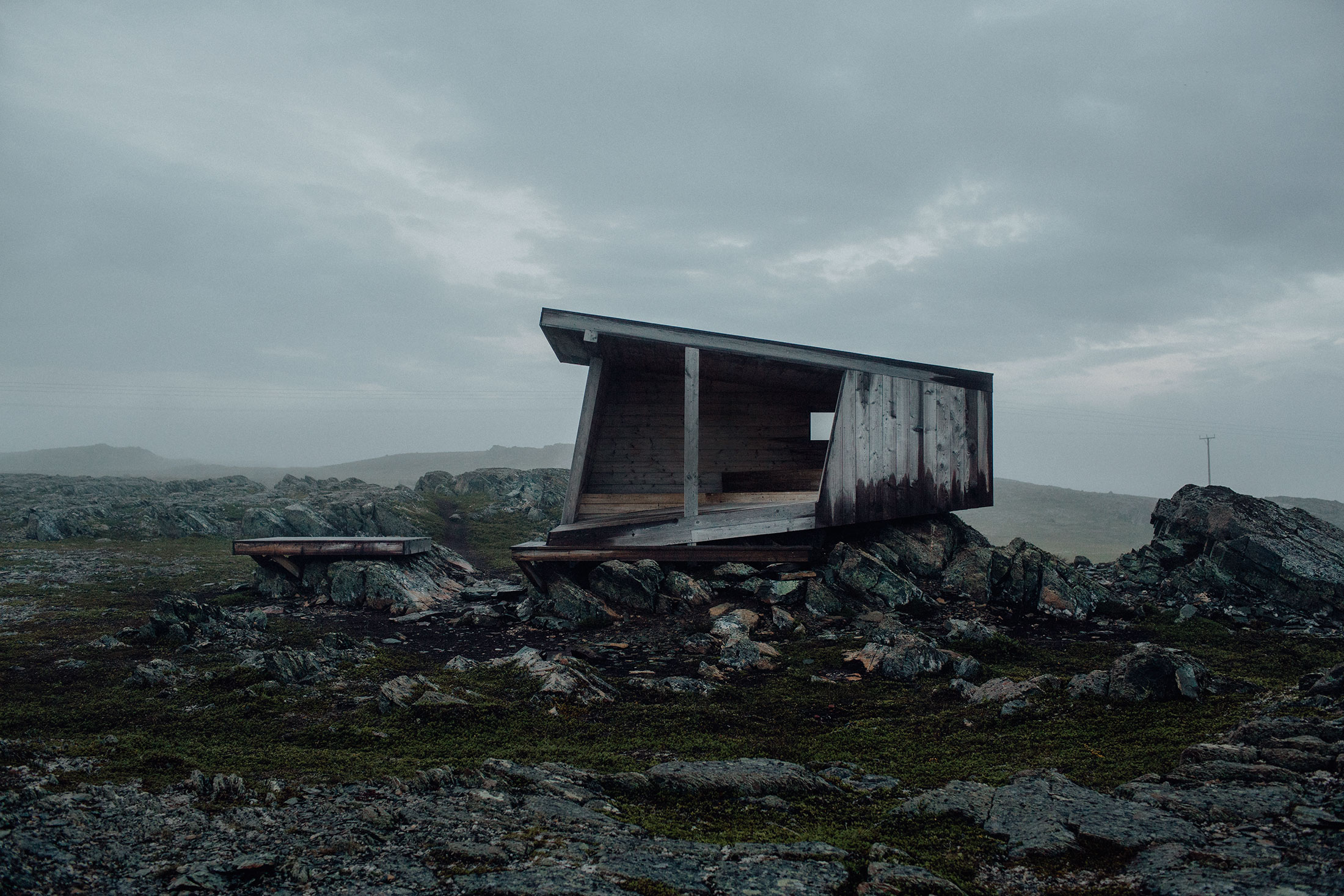 Birding Varanger