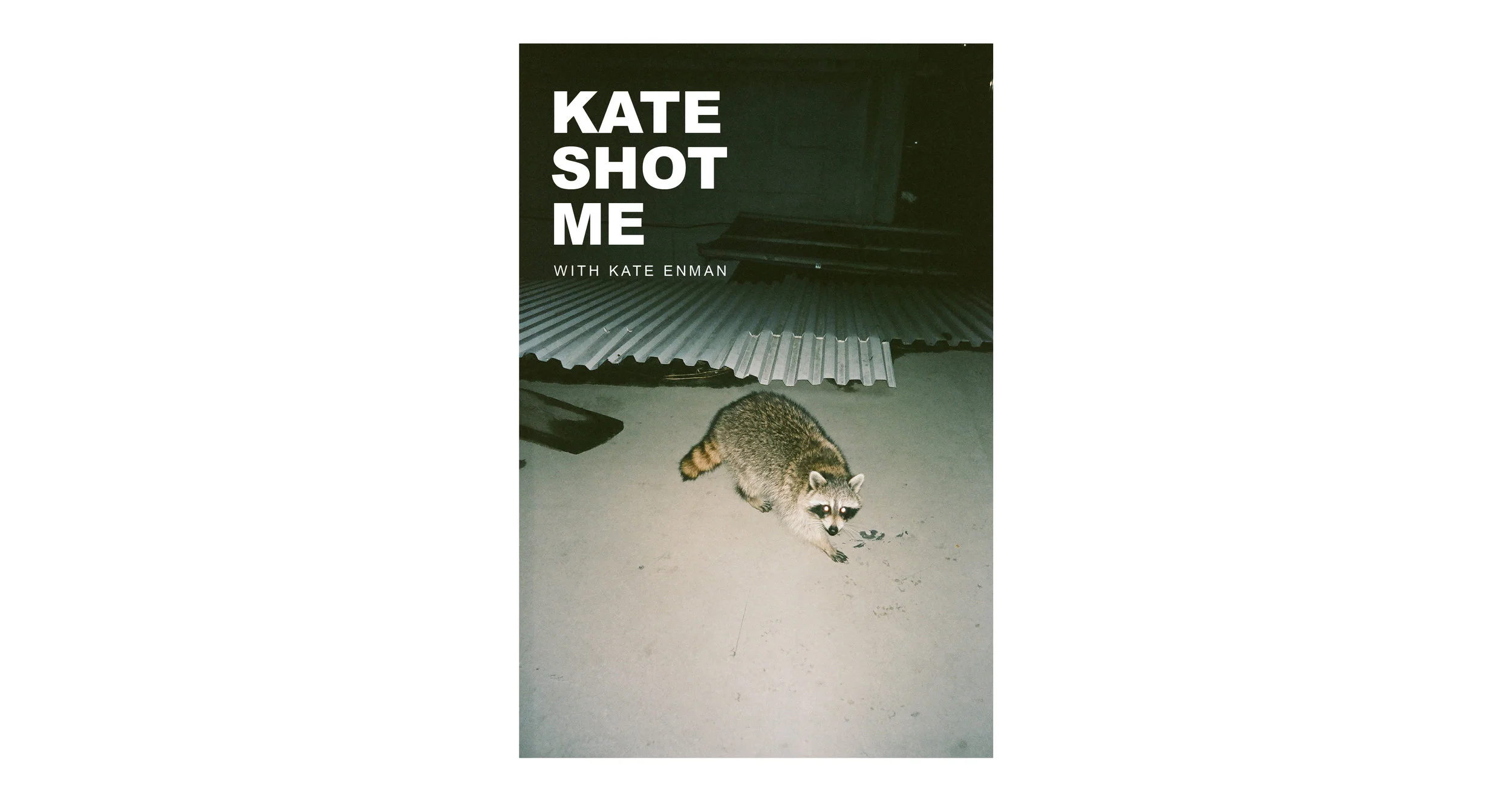 KATE SHOT ME RACCOON 16IN-01.jpg