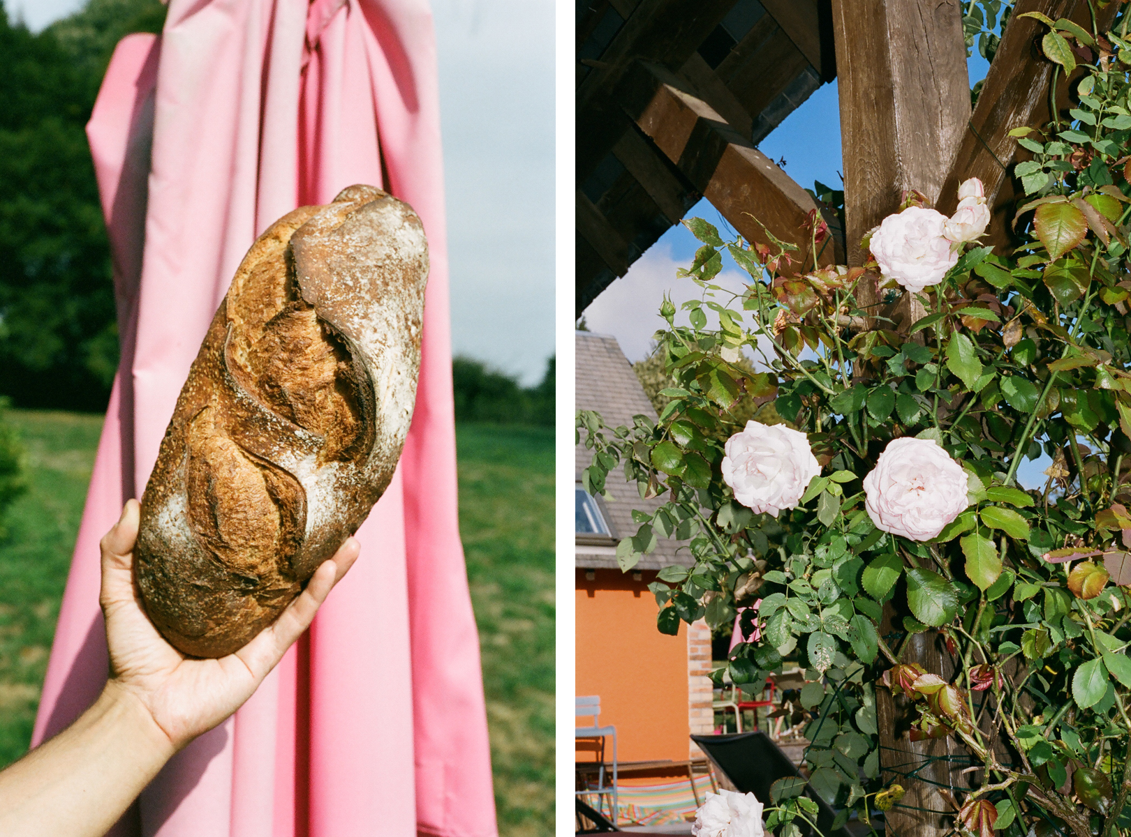 BREAD + ROSES.jpg