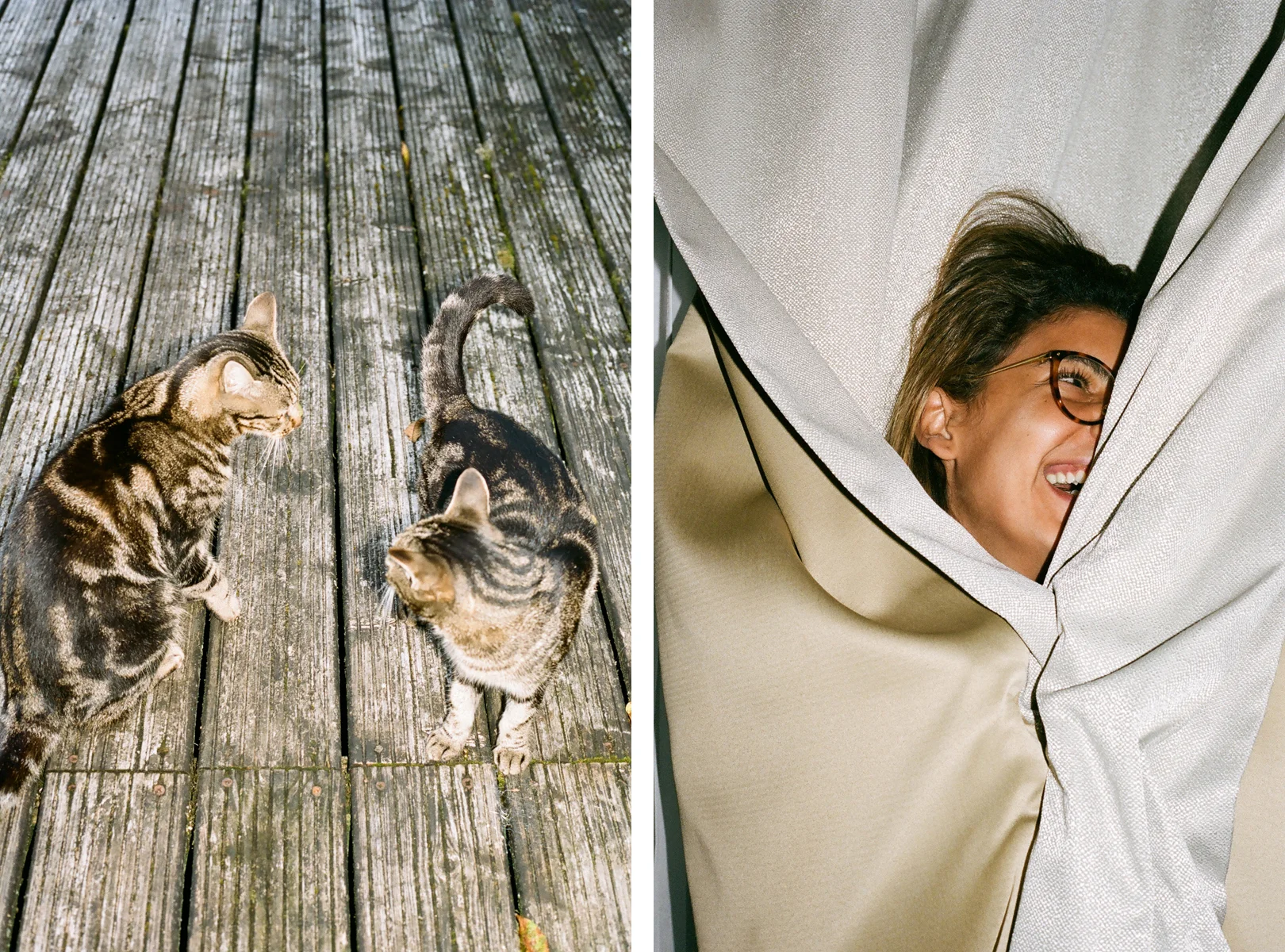 CATS + DANYA.jpg
