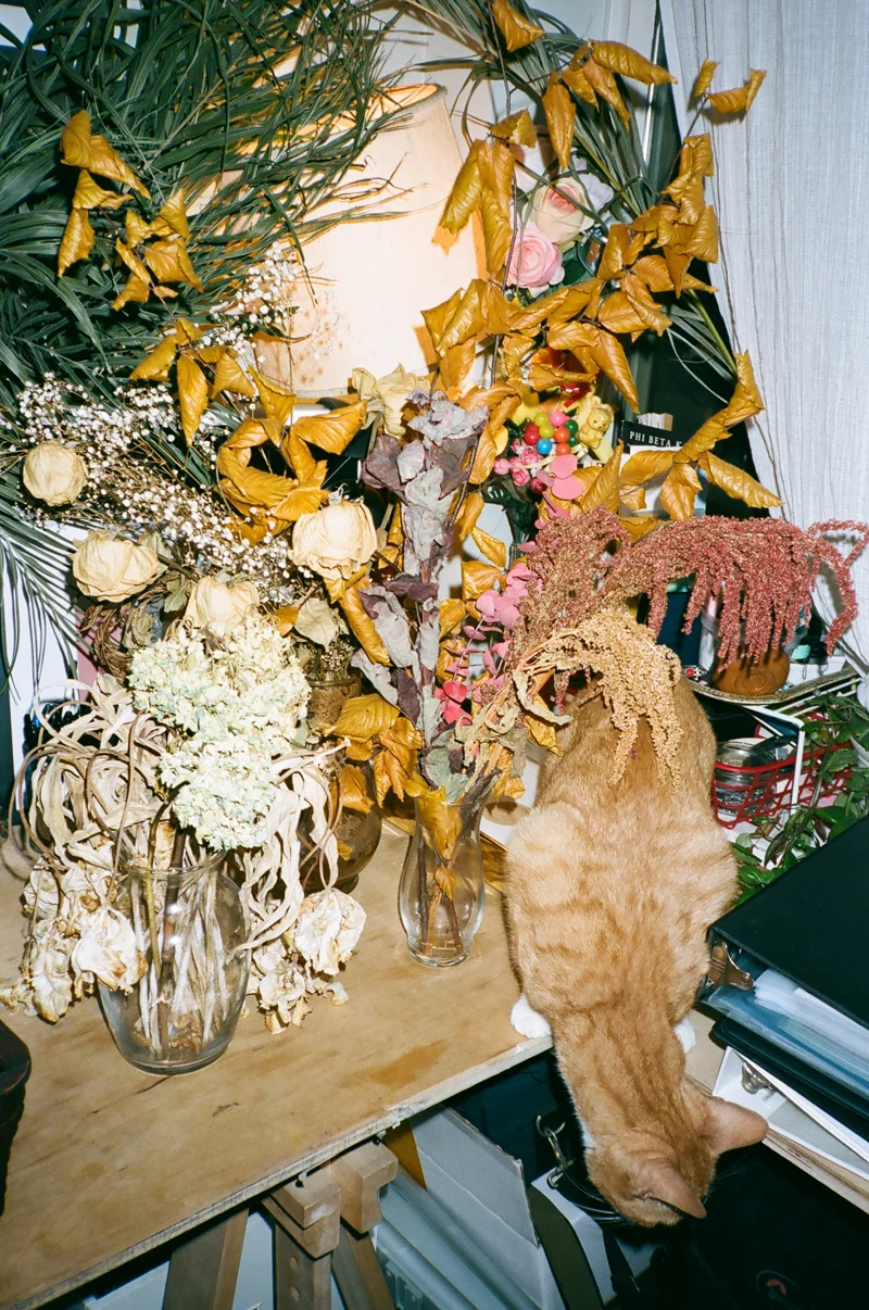 KATE_ENMAN_04.jpg