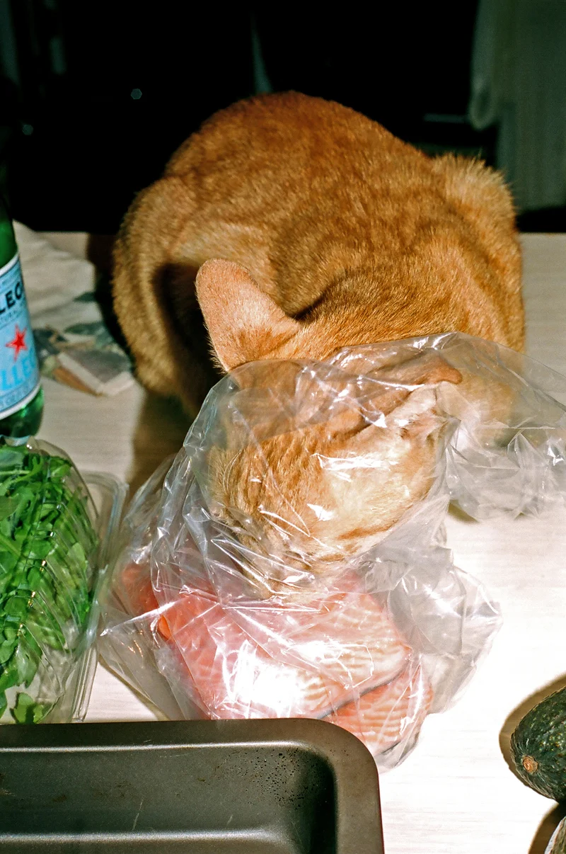 KATE_ENMAN_07.jpg