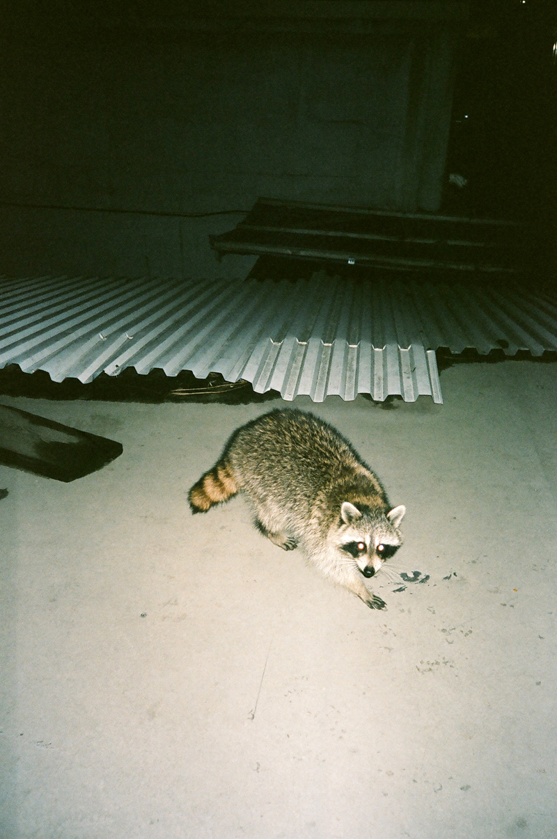 KATE_ENMAN_14.jpg