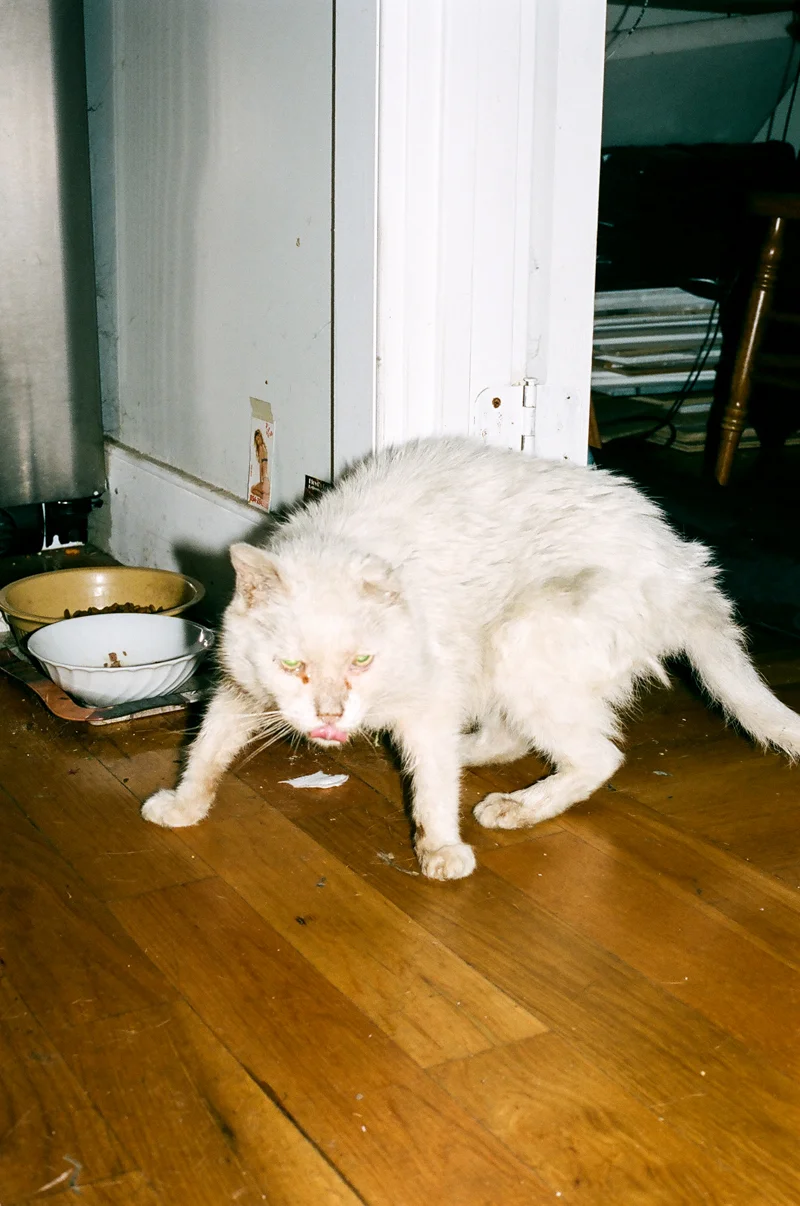 KATE_ENMAN_20.jpg