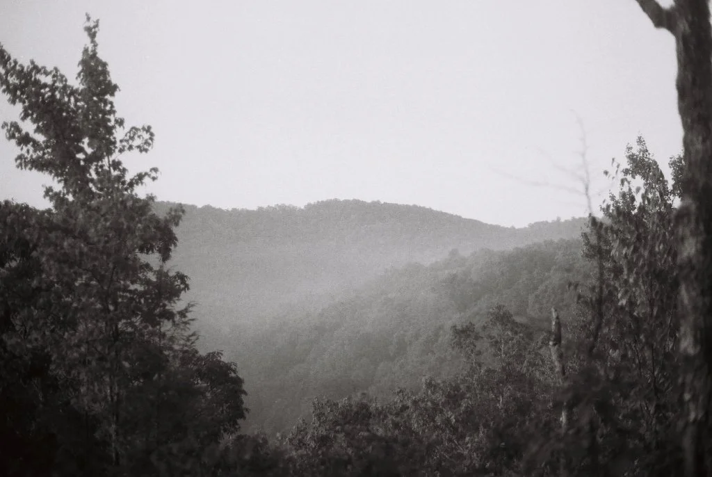 app trees 1 - nearlittlestoney.jpg
