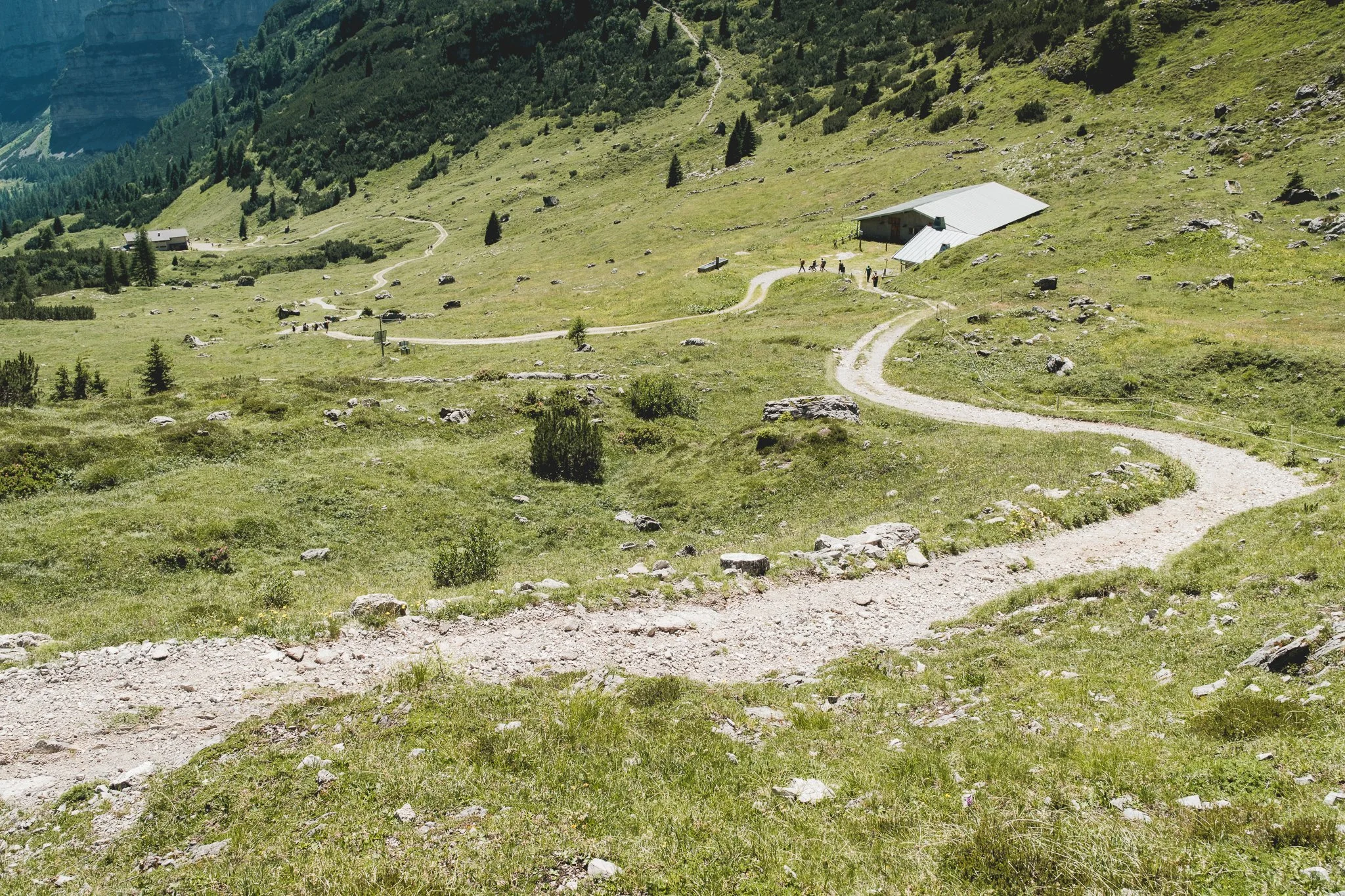 WEB - Tip Top Mountain - Trentino - Frizzera -191.jpg