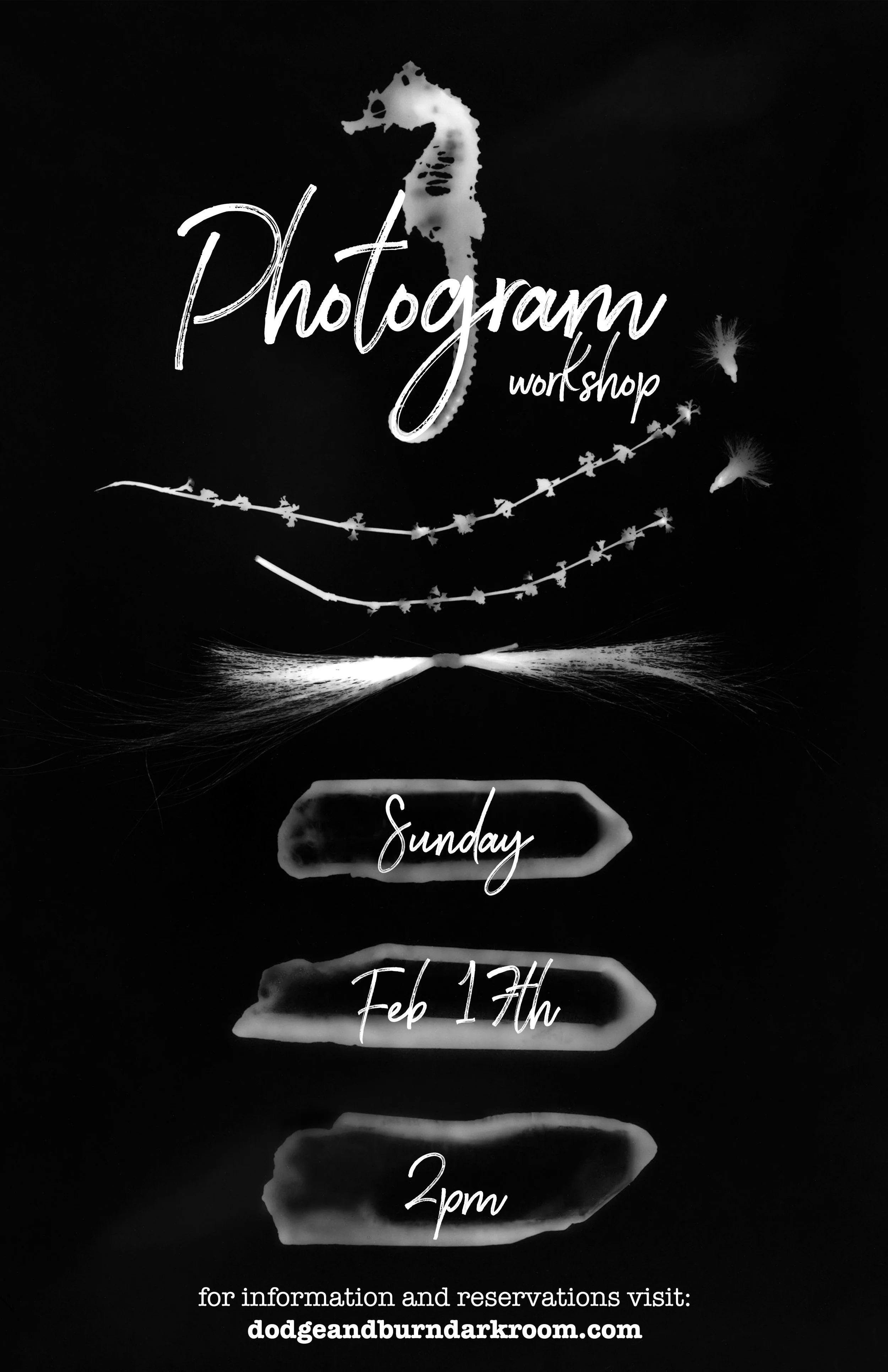 photogram workshop2.jpg