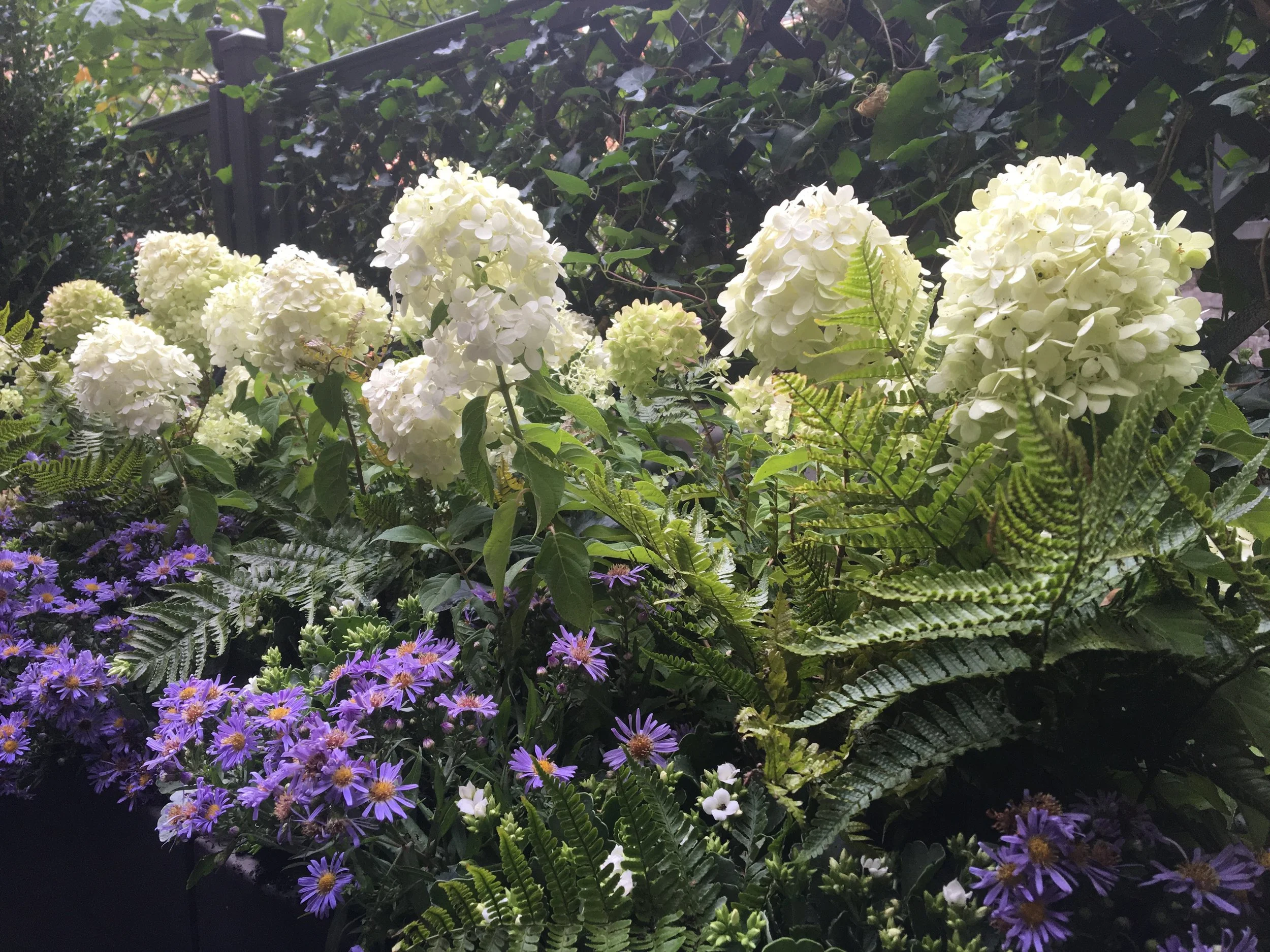 Fall Kitchen Garden Upclose.JPG