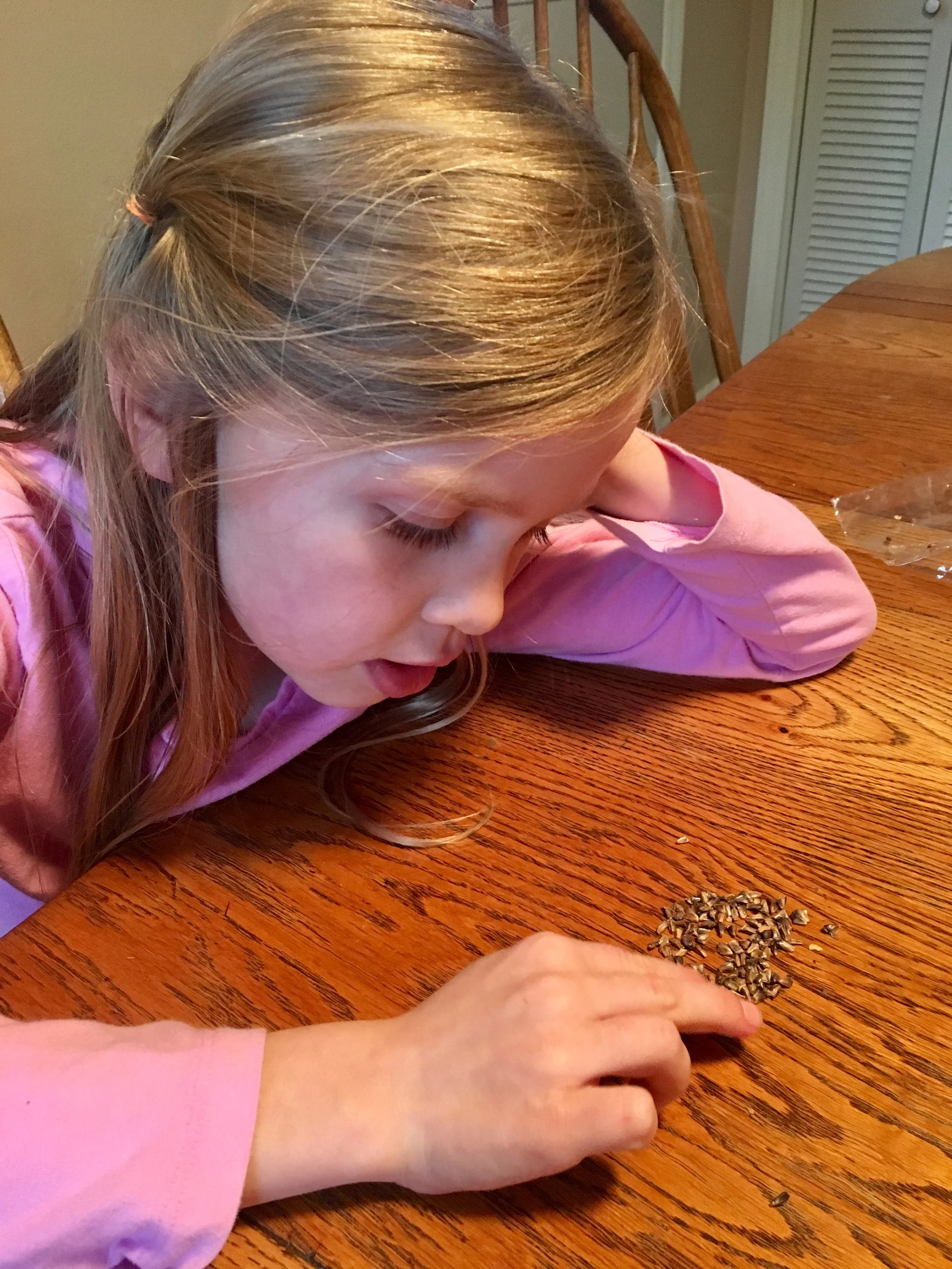 Counting out 10 seeds.