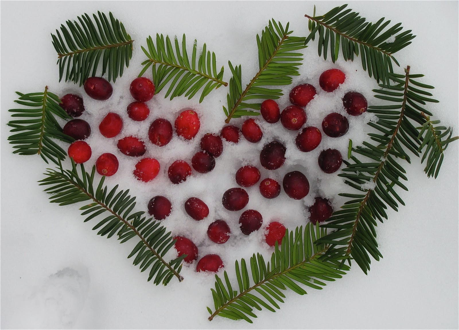 Evergreen&Cranberry Land Art Heart2.jpeg