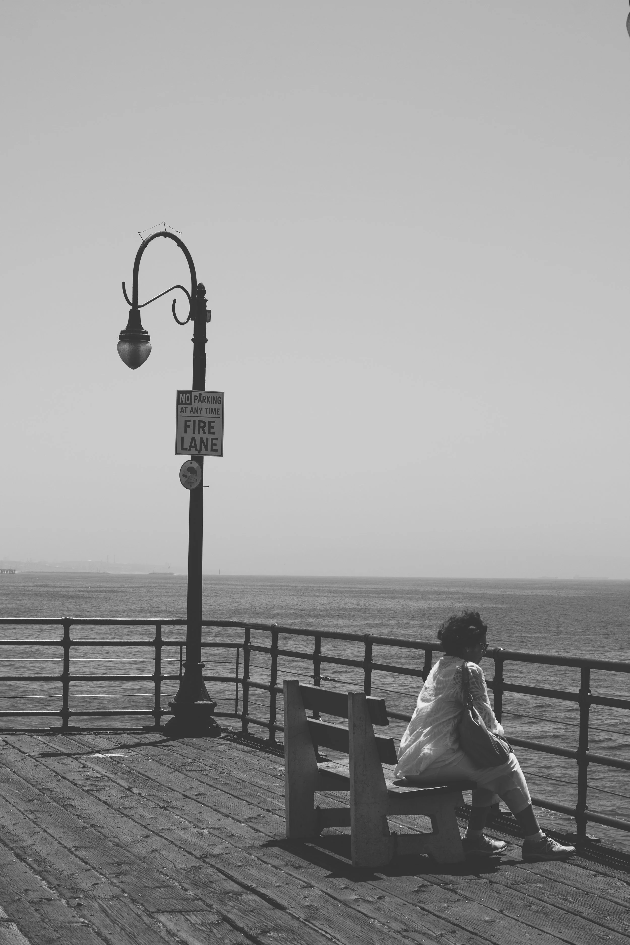 santa monica beach pier
