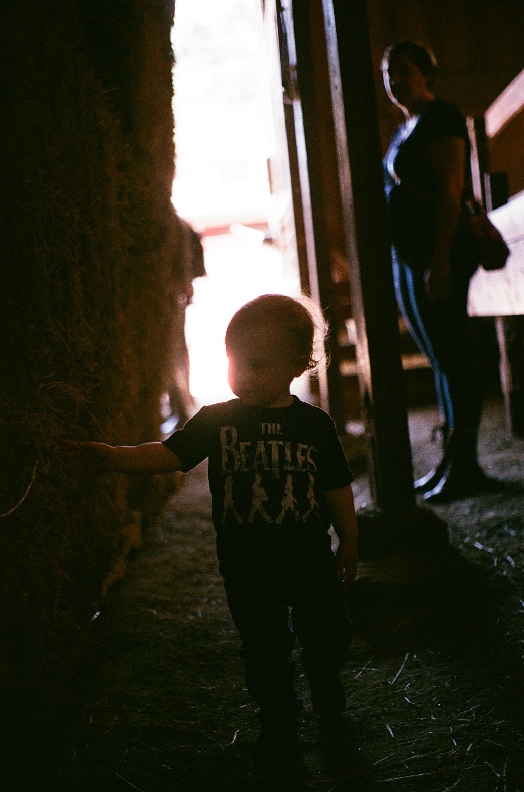 bowie at the farm