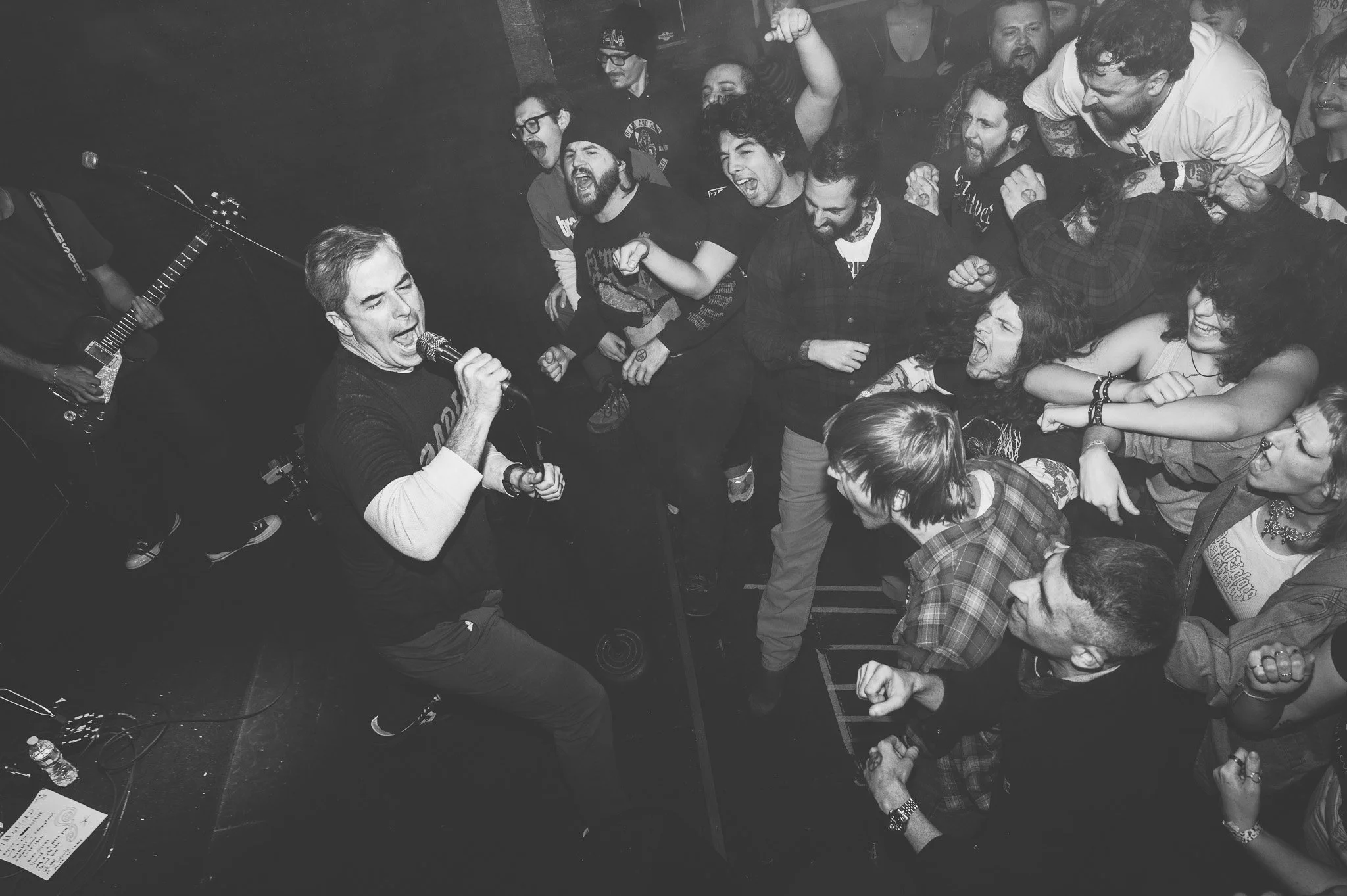 FIDDLEHEAD 11X17 PRINT