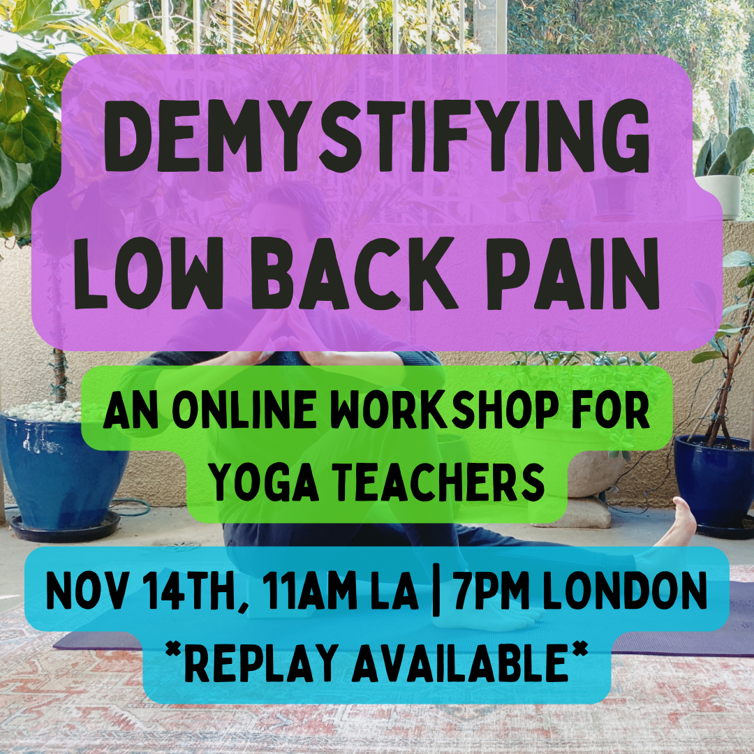Demystifying Low Back Pain: 2-Hour Workshop