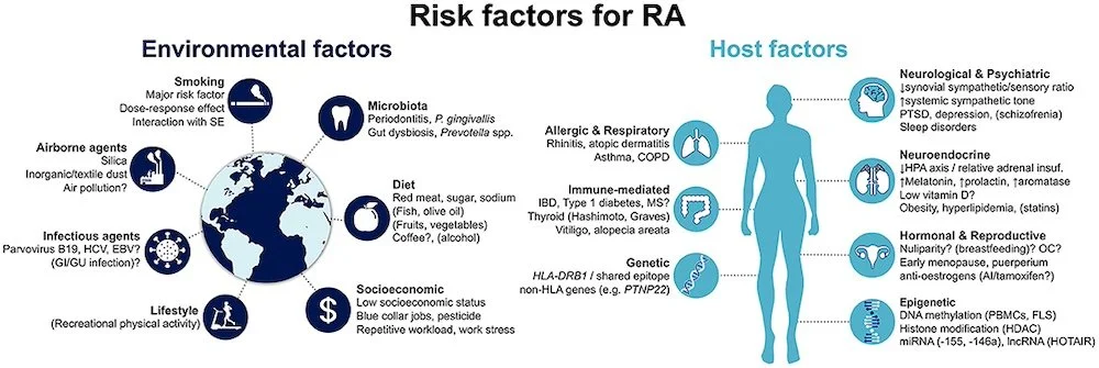 Rheumatoid arthritis risk factors