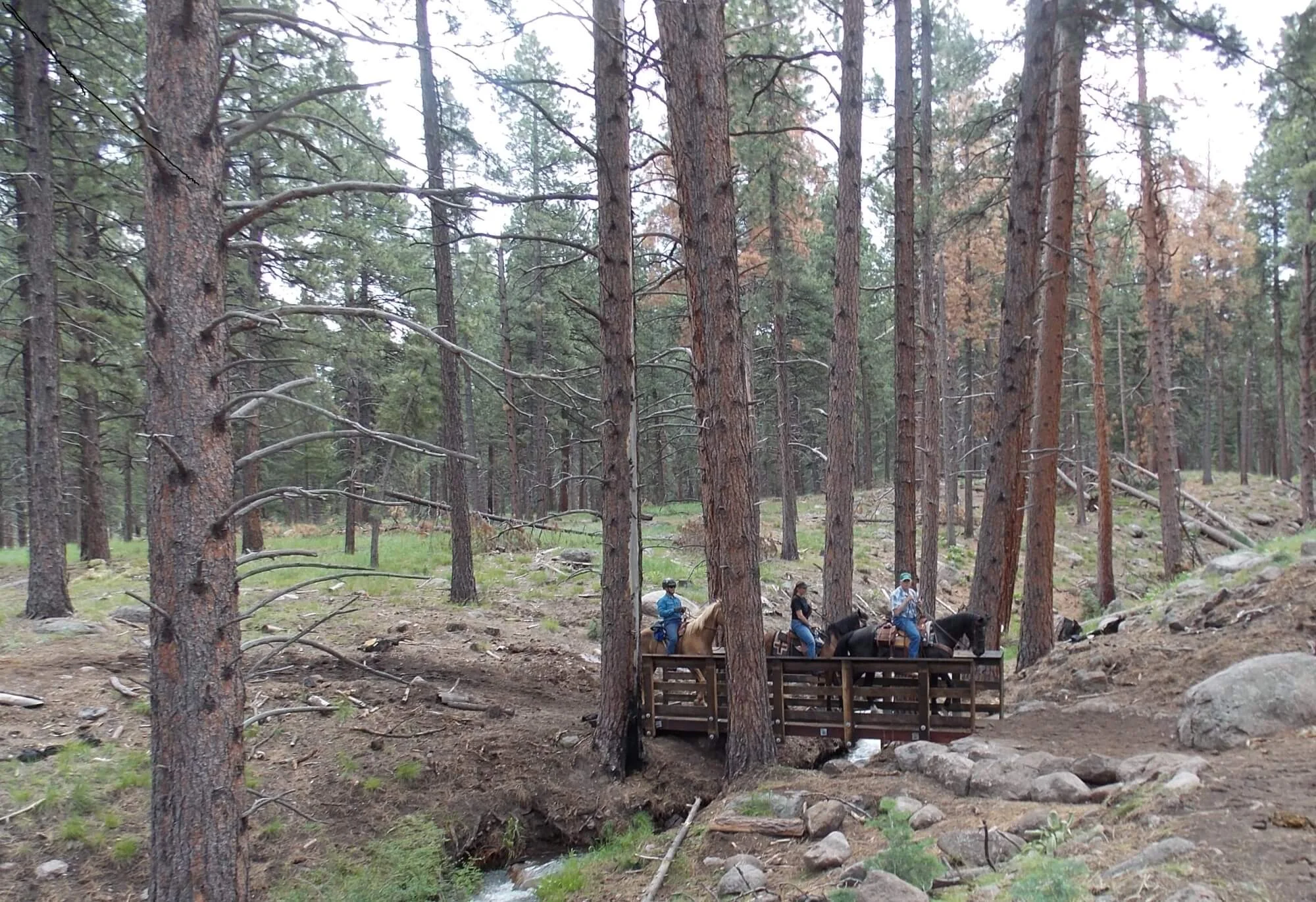 pine-valley-2.jpg