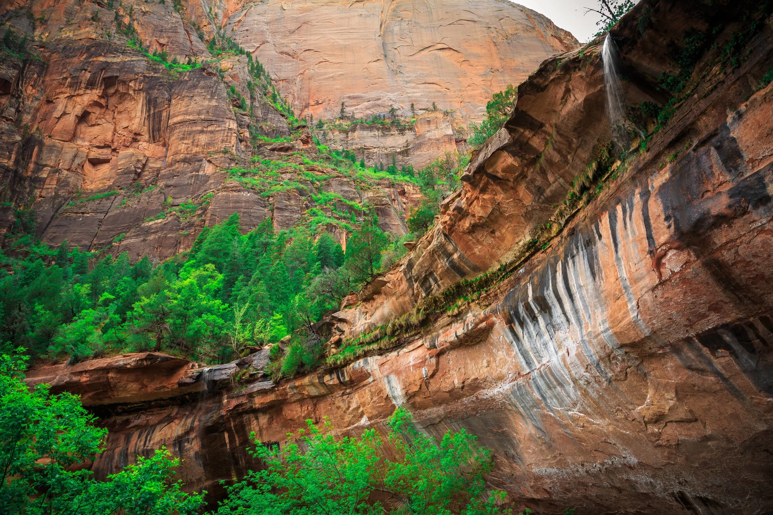 shutterstock_473346031-min.jpg
