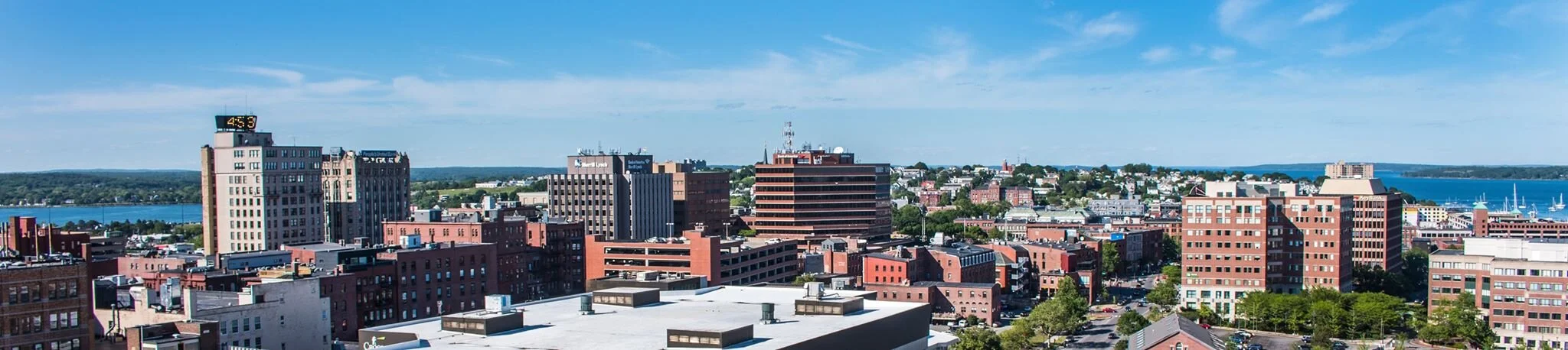 portland skyline Ellis.jpg
