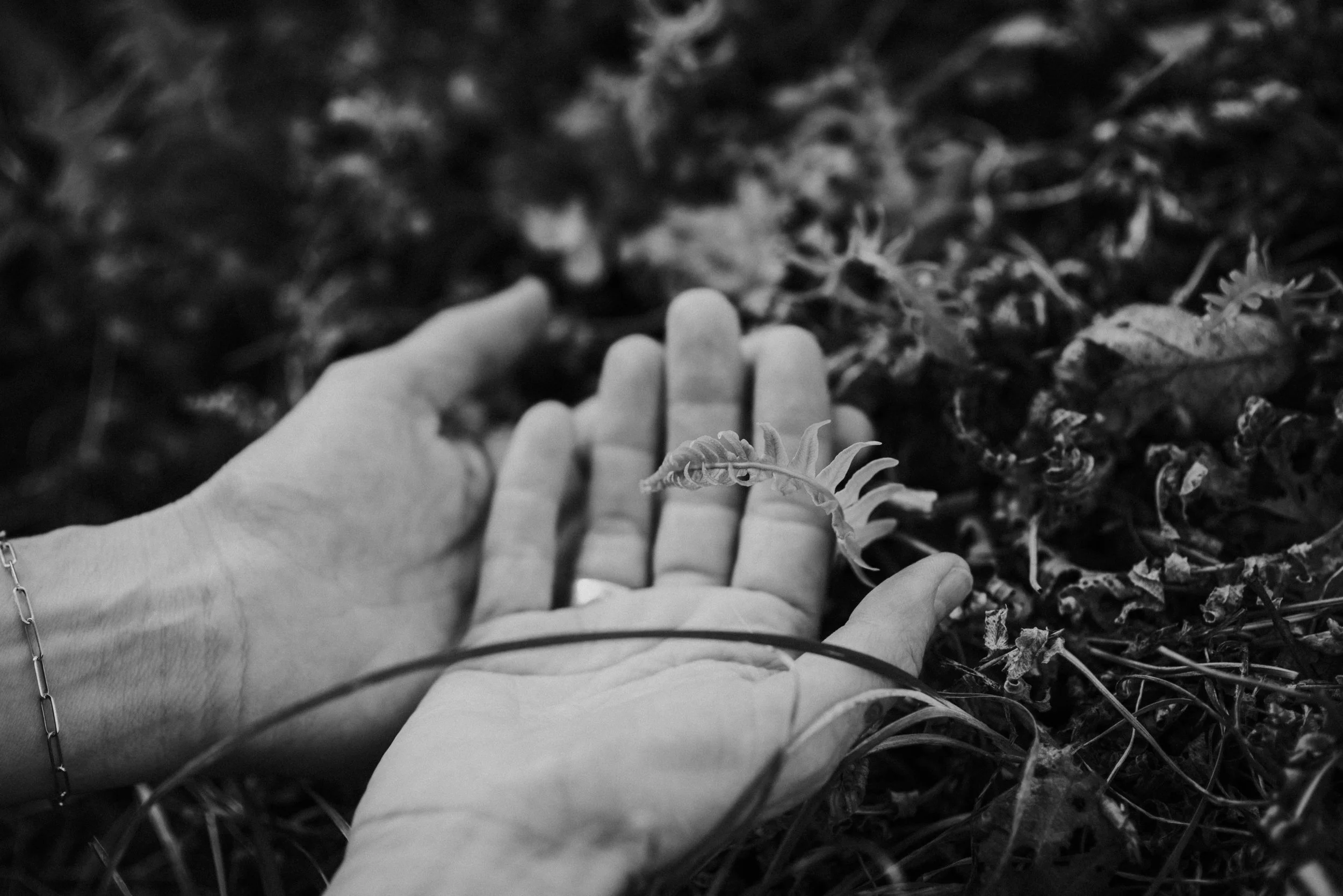 Melanie Orr Photography - Katriona -8165.jpg