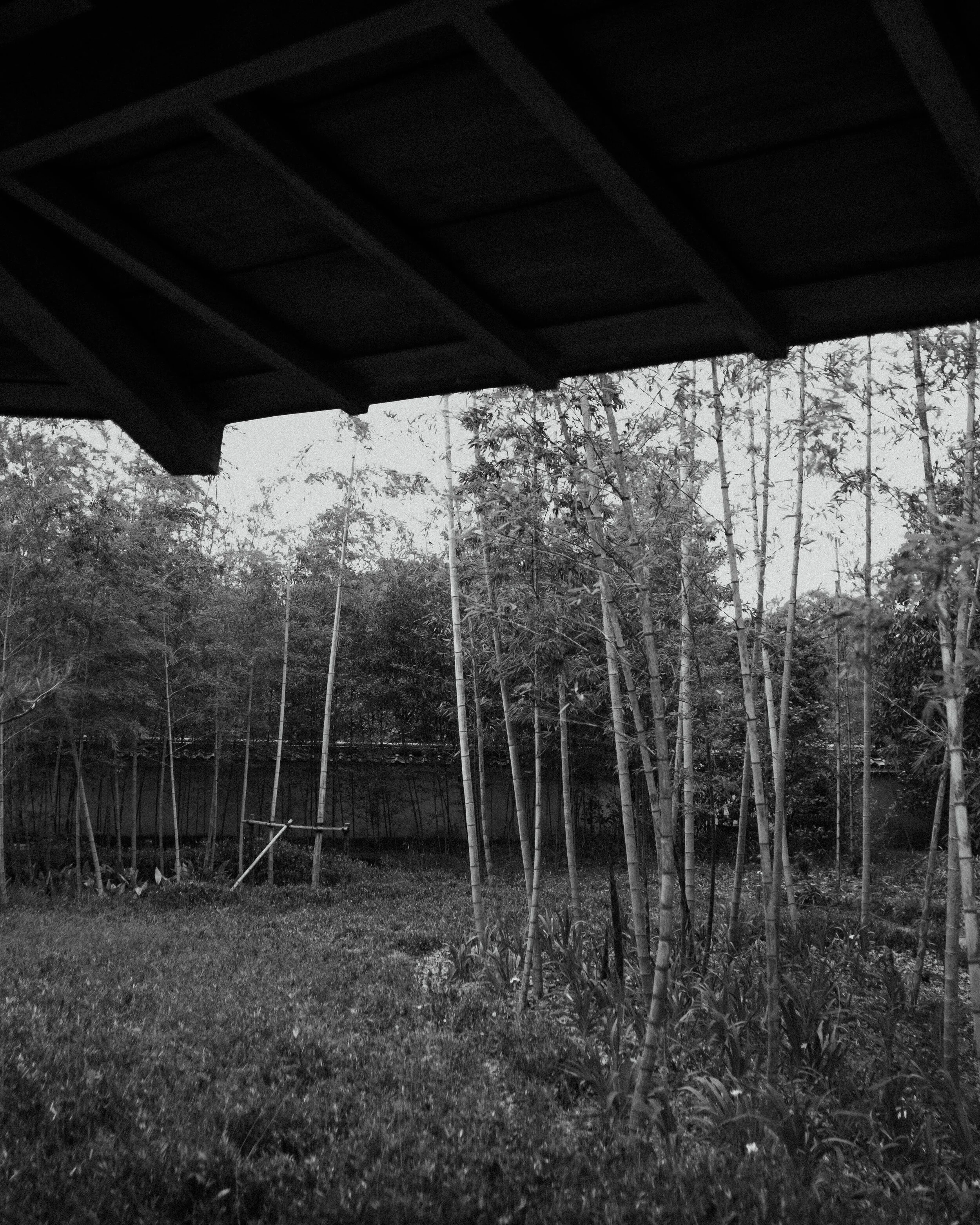 DSCF2531.jpg