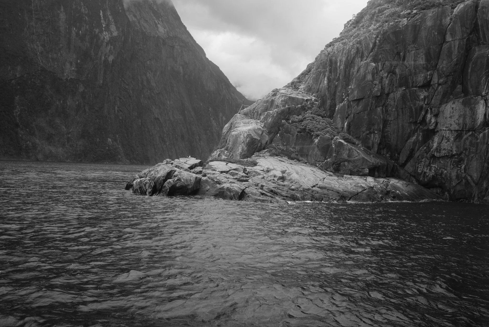L1005844.jpg