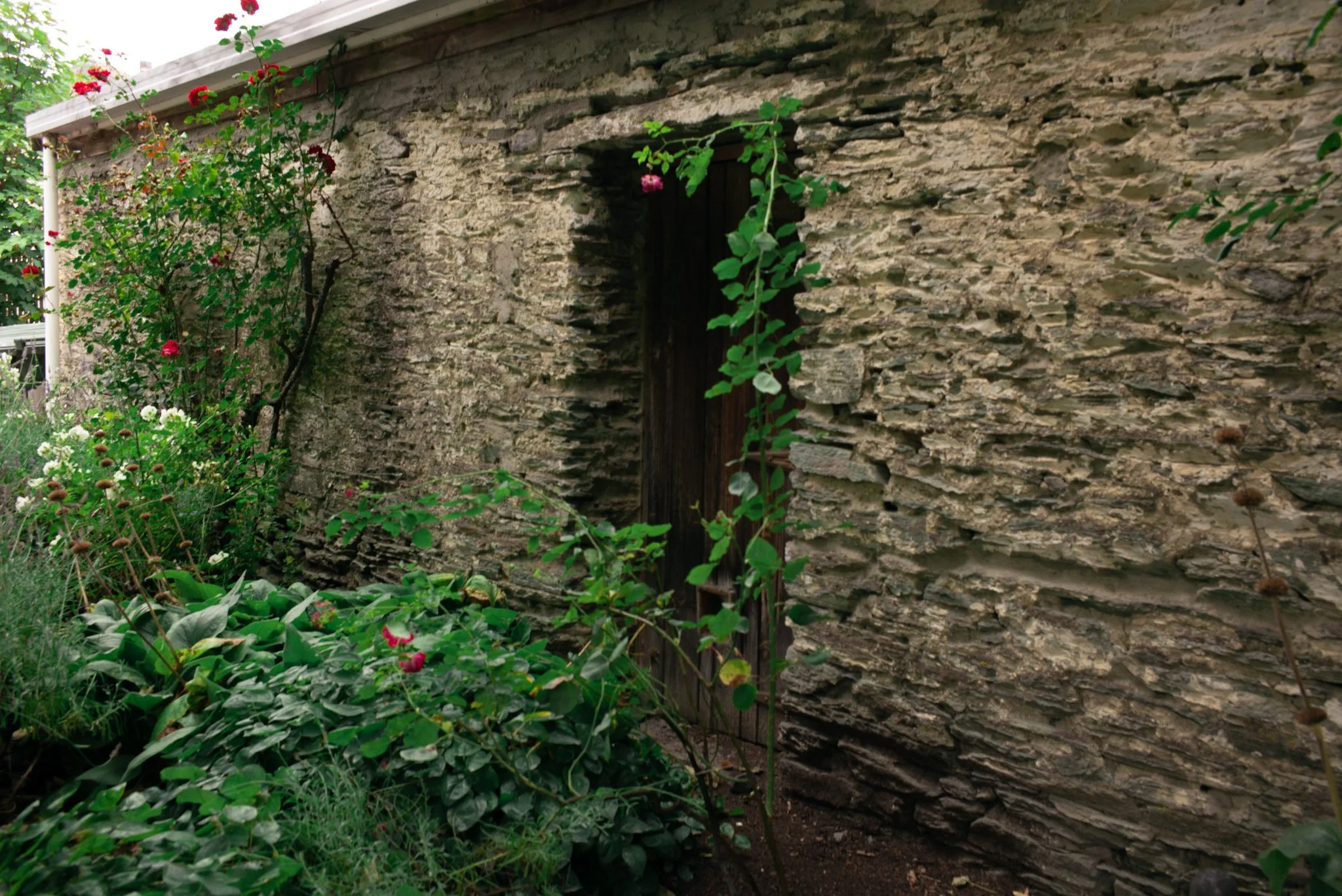 L1005992.jpg